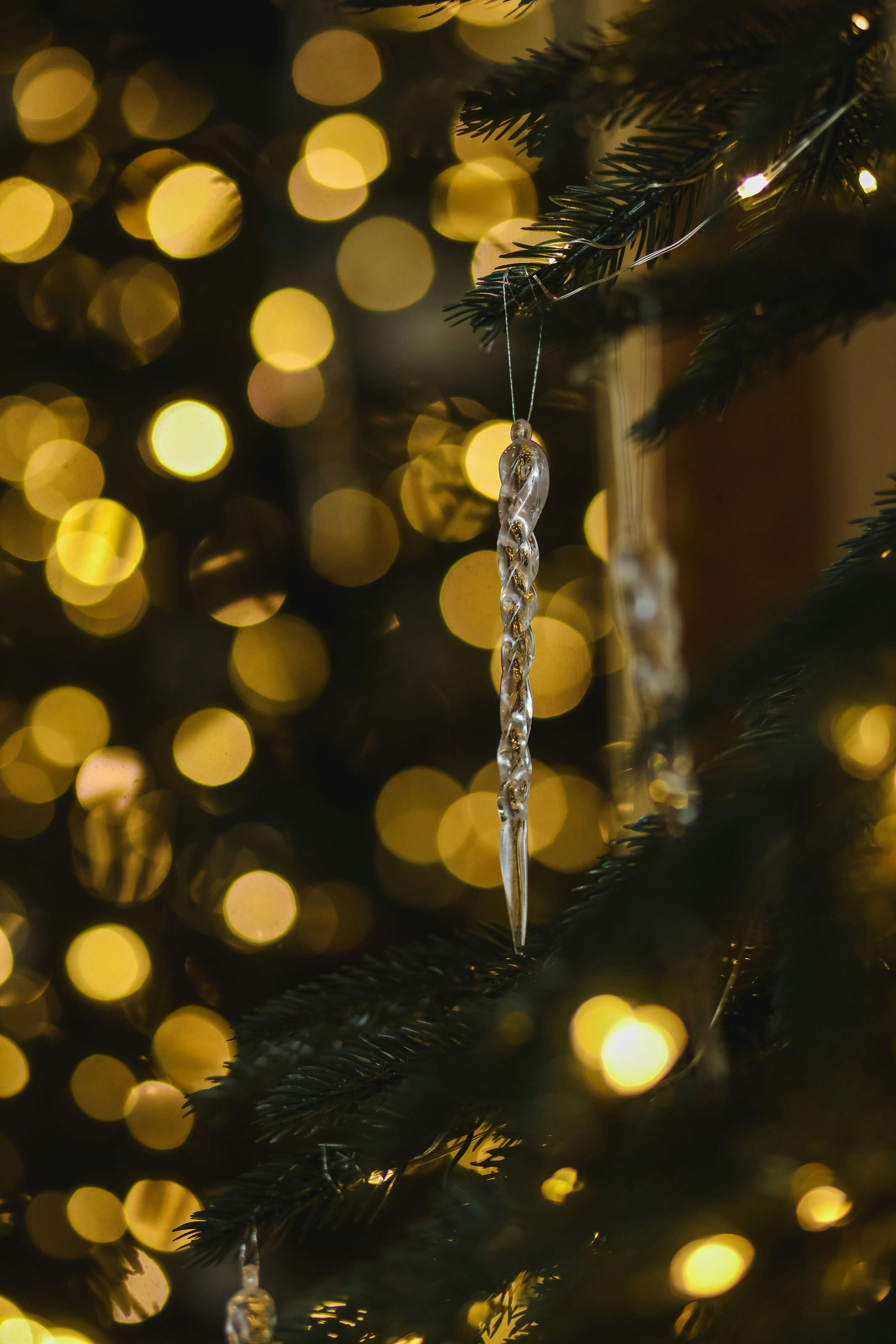 Nahaufnahme eines Weihnachtsbaums mit Lichtern im Hintergrund