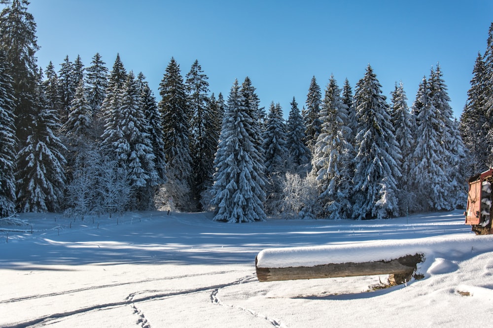 a cabin in the middle of a snowy forest