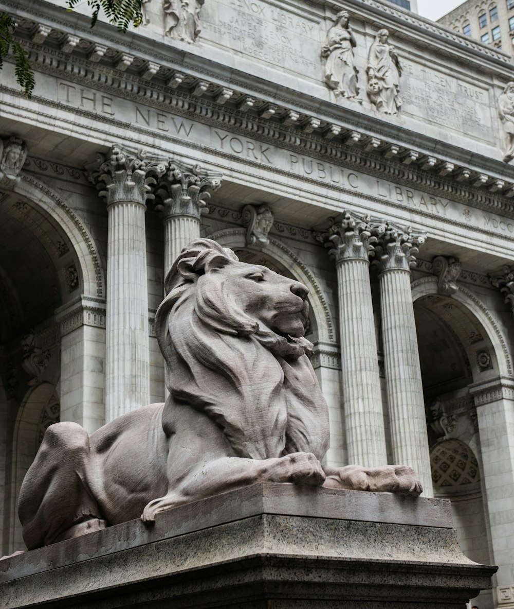 una statua di un leone di fronte a un edificio