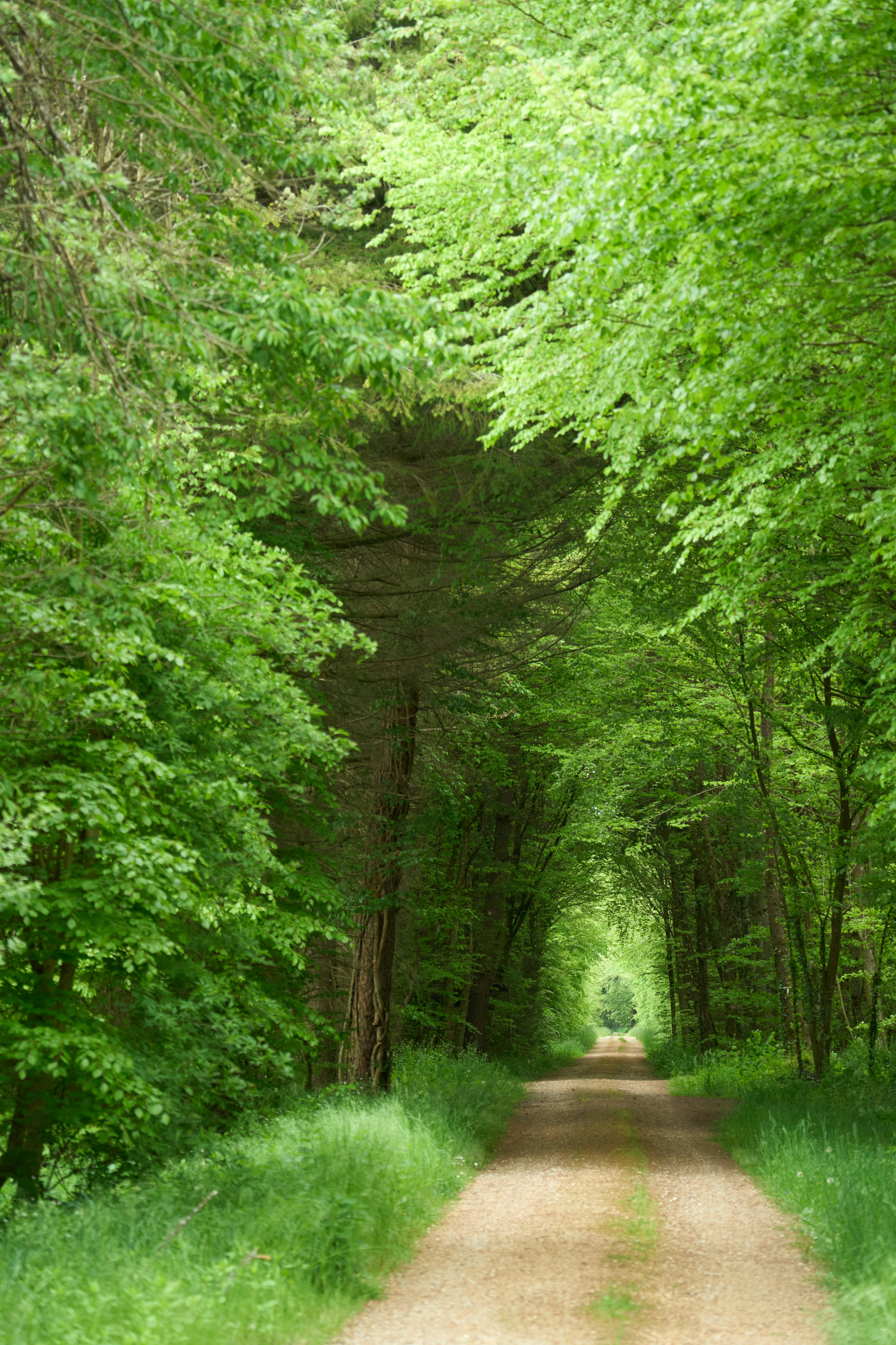 Photo by wolfgang_hasselmann