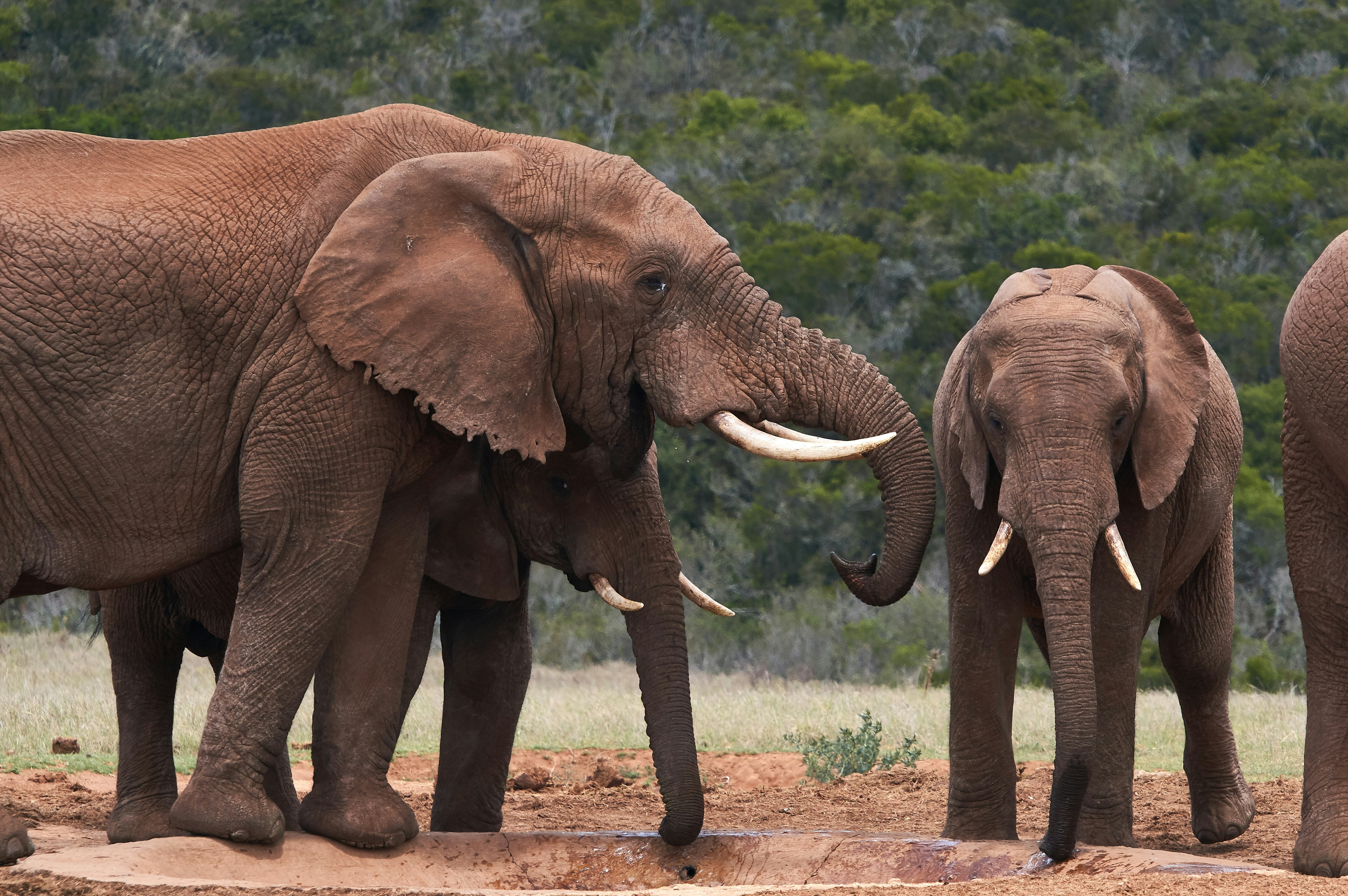 Photo by wolfgang_hasselmann