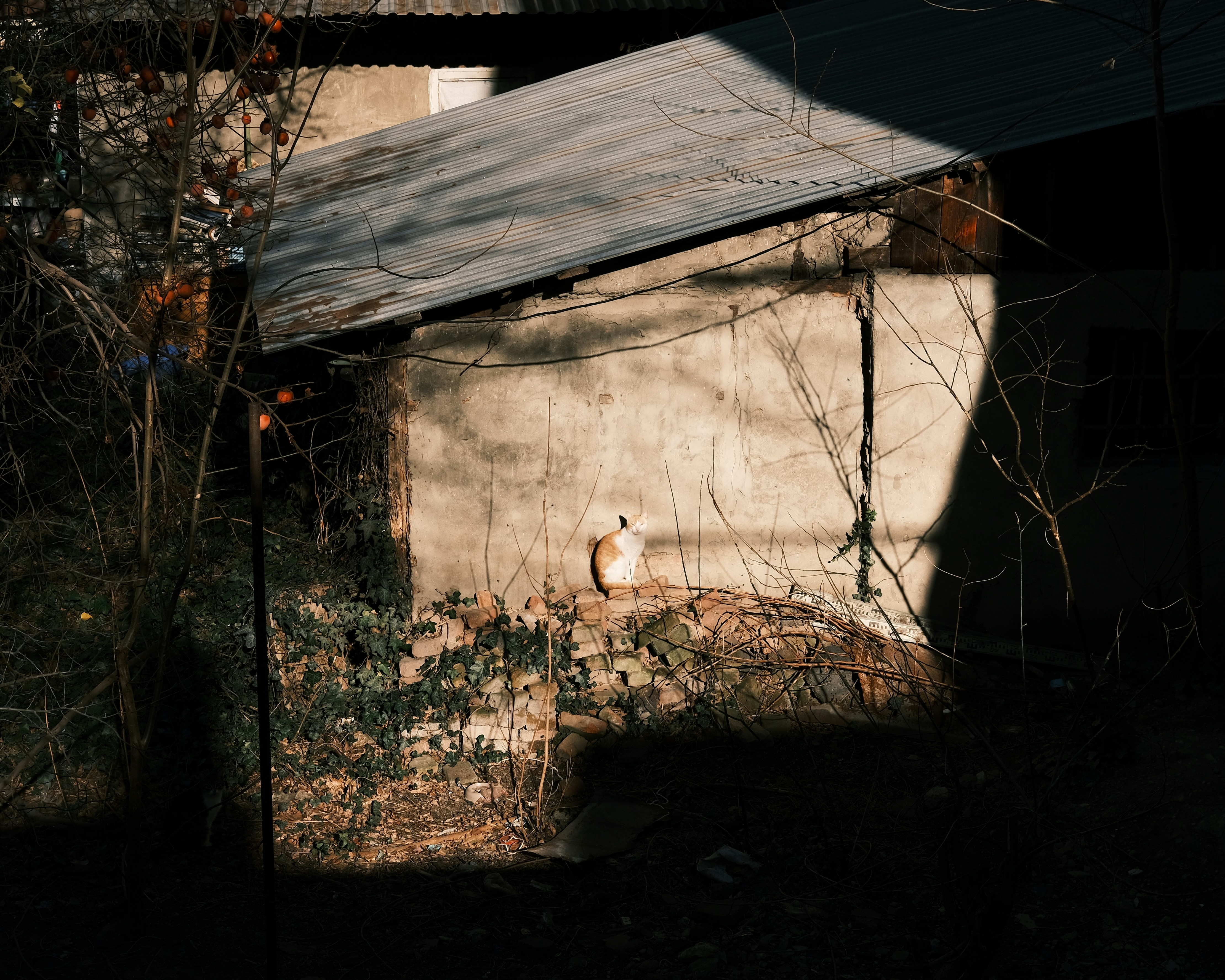 Conclusion: Reading Between the Fence Lines
