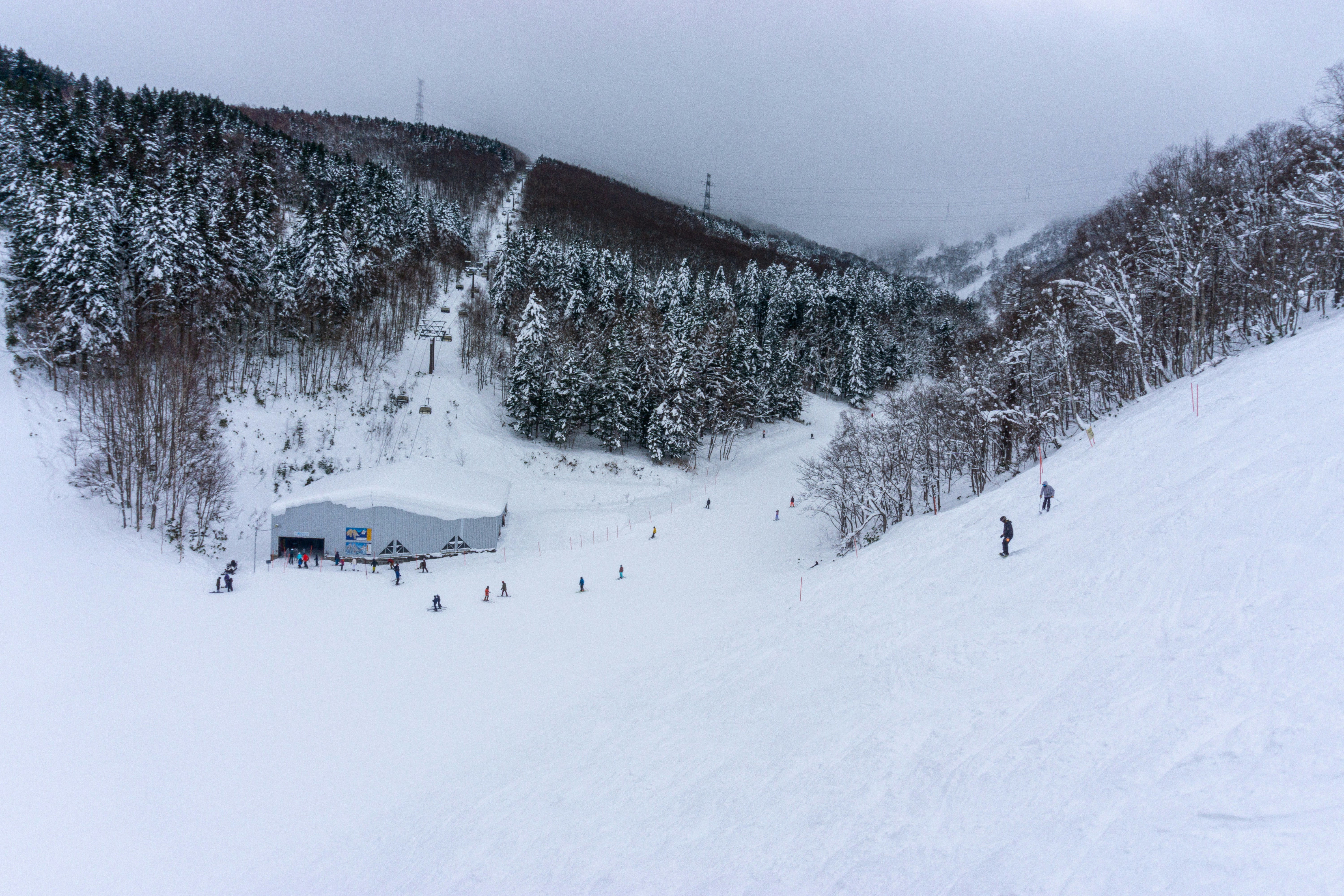 Beginner’s Budget Skiing Near Tokyo: New Year’s Trip Planning