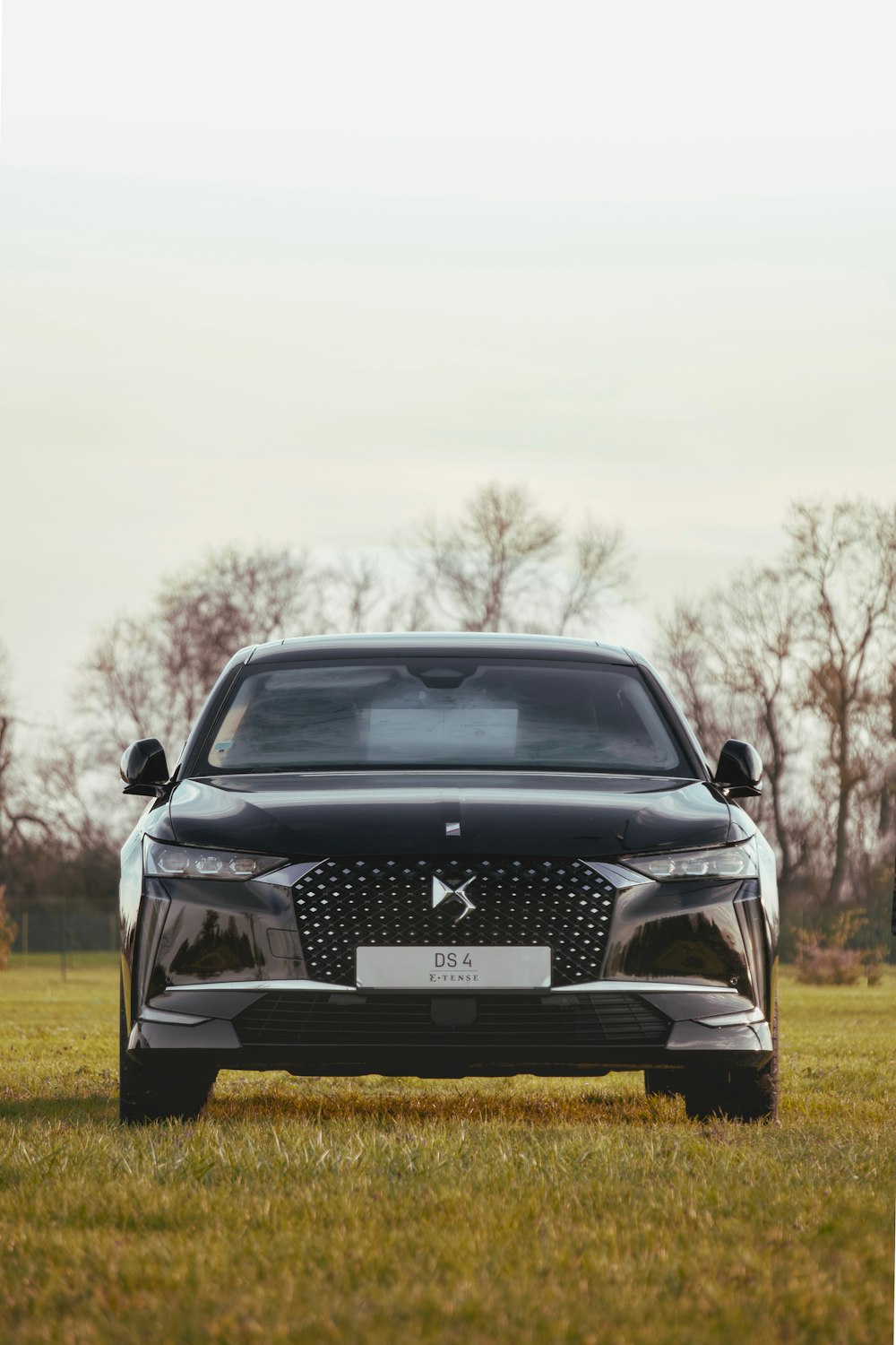 a black car parked in a grassy field