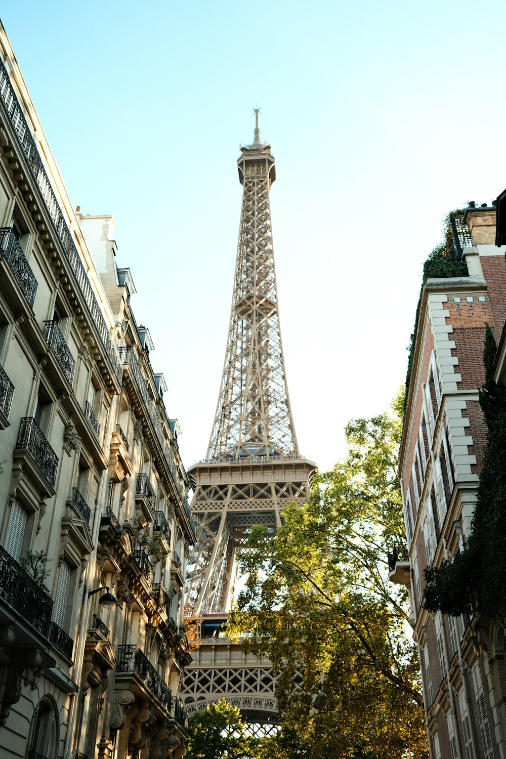 the eiffel tower towering over the city of paris