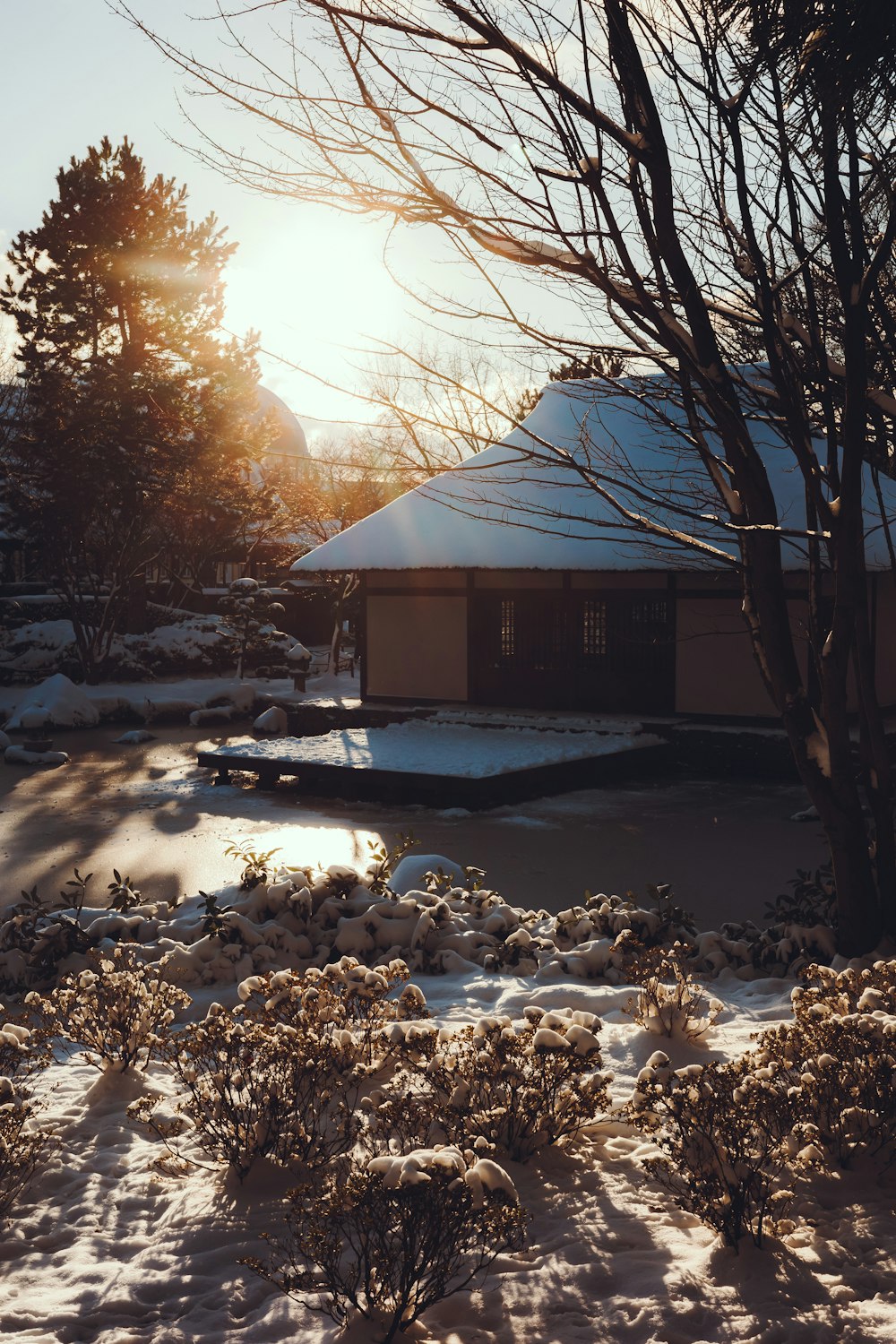 a snow covered yard with a house and trees