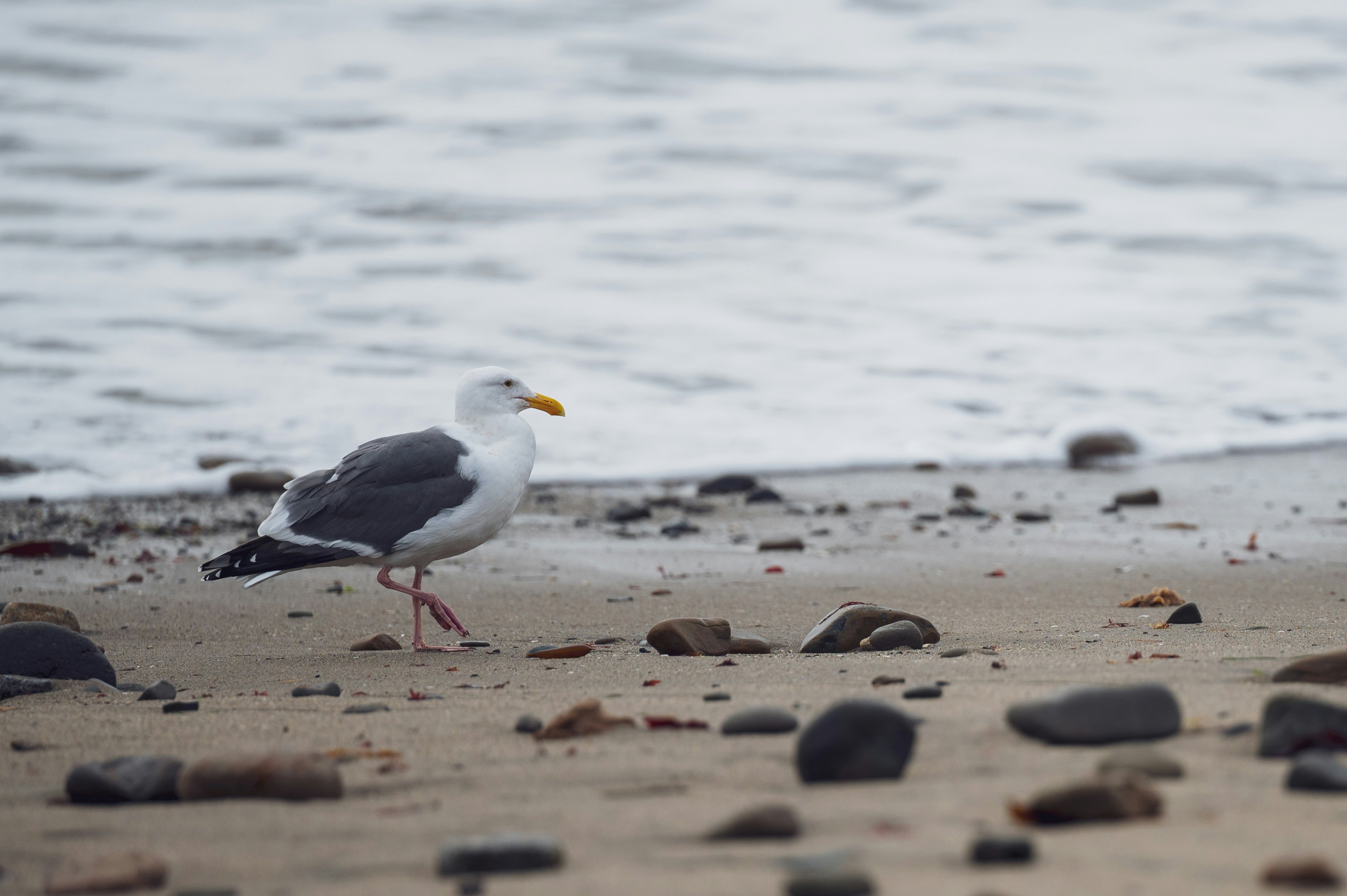 Photo by sorb1011