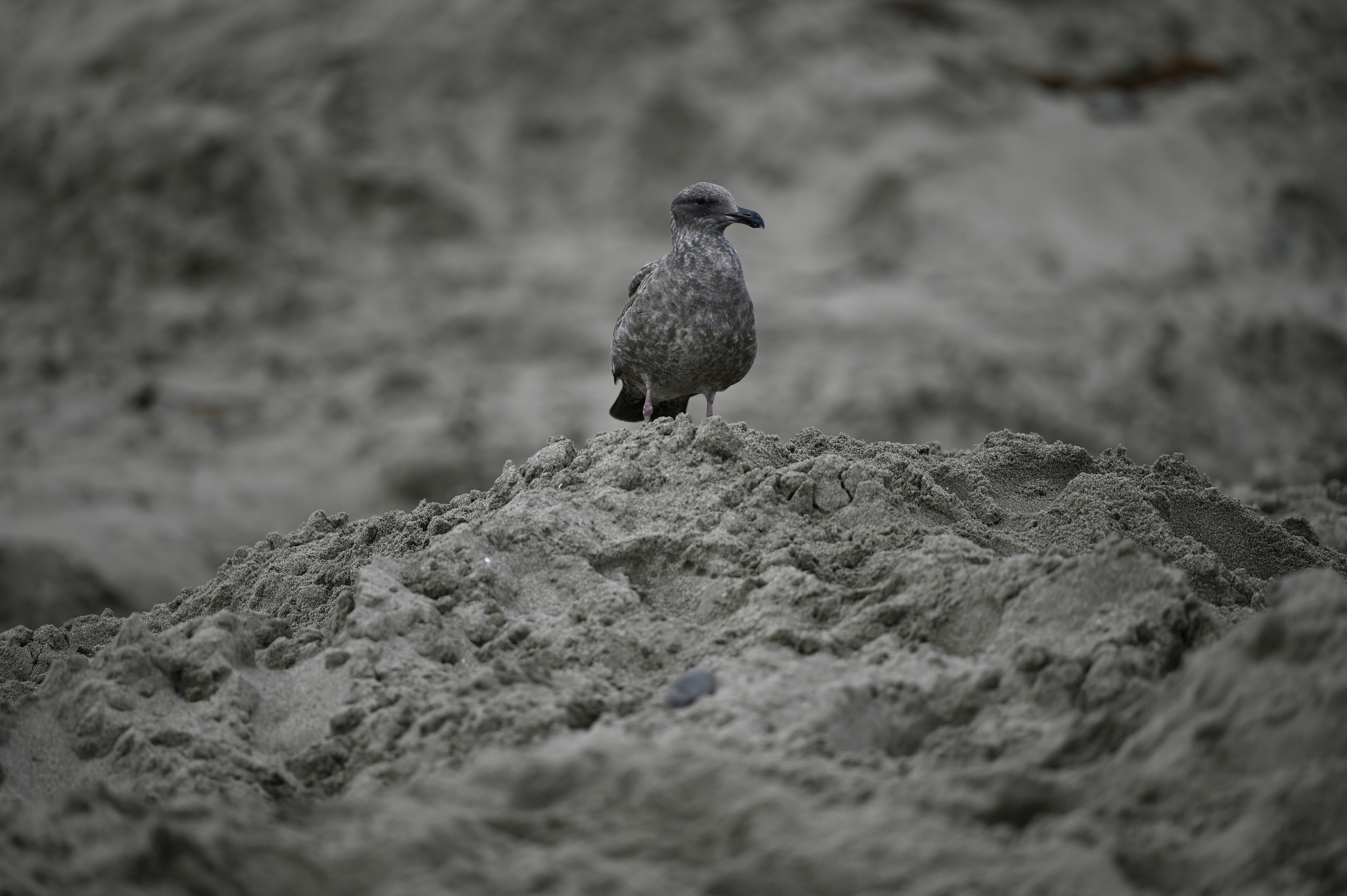 Photo by sorb1011