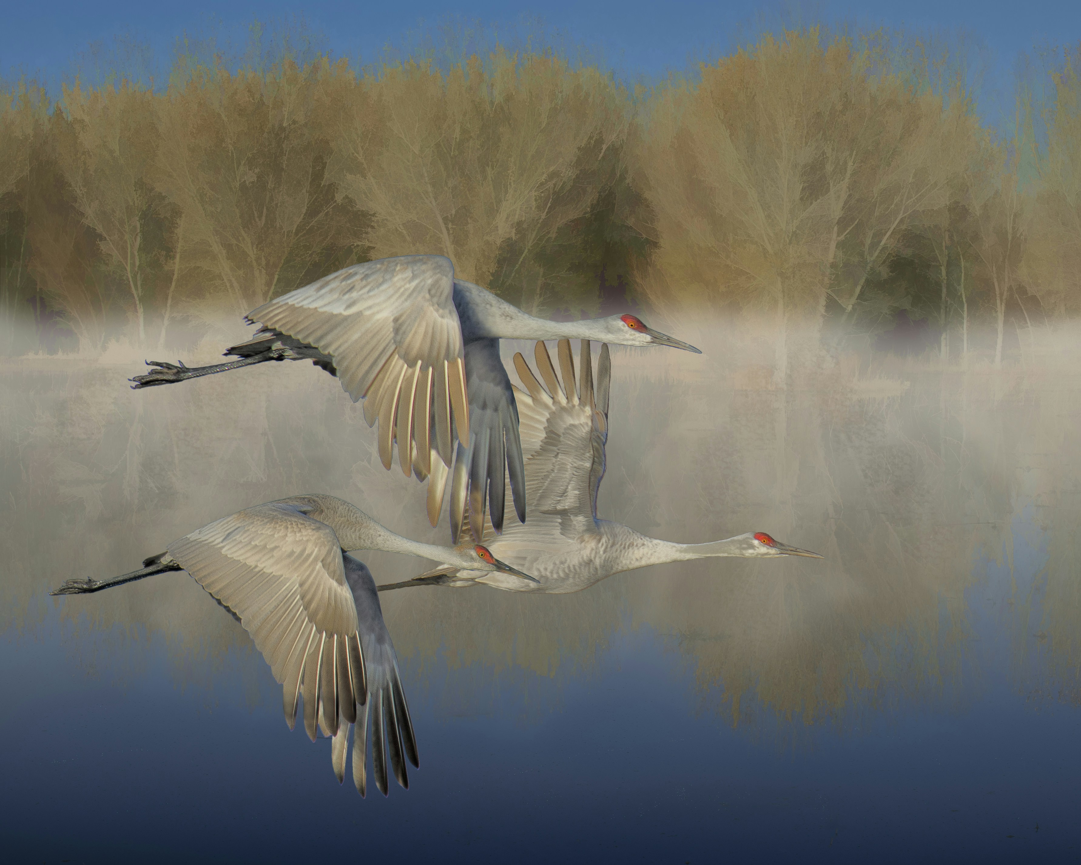 two birds flying over a body of water