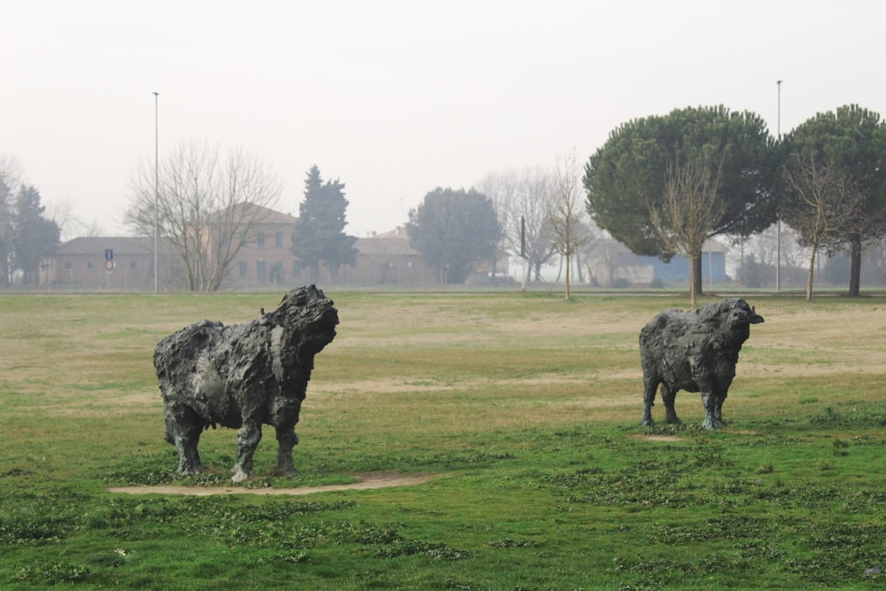 un par de vacas de pie en lo alto de un exuberante campo verde