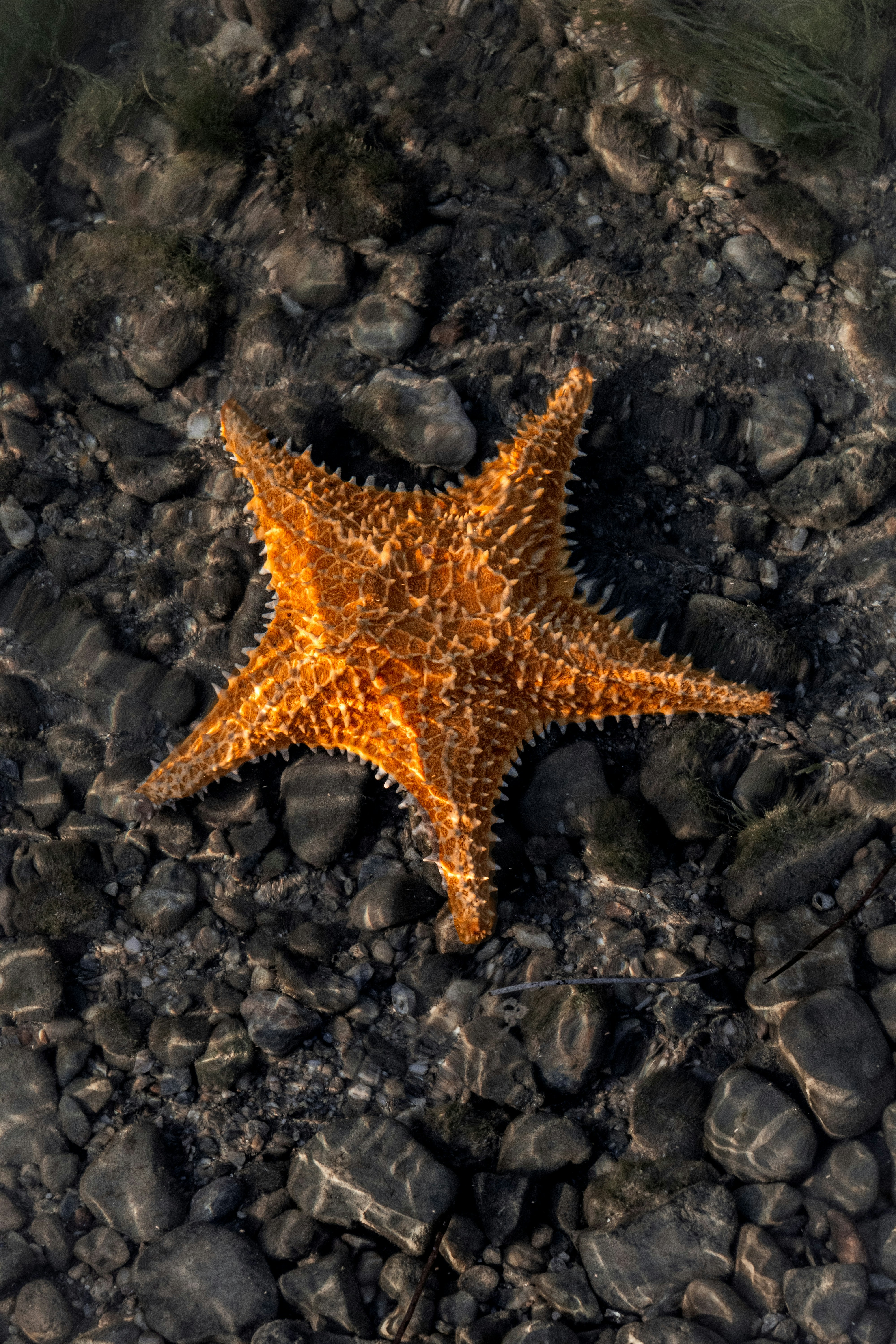 Photo by yeisband007