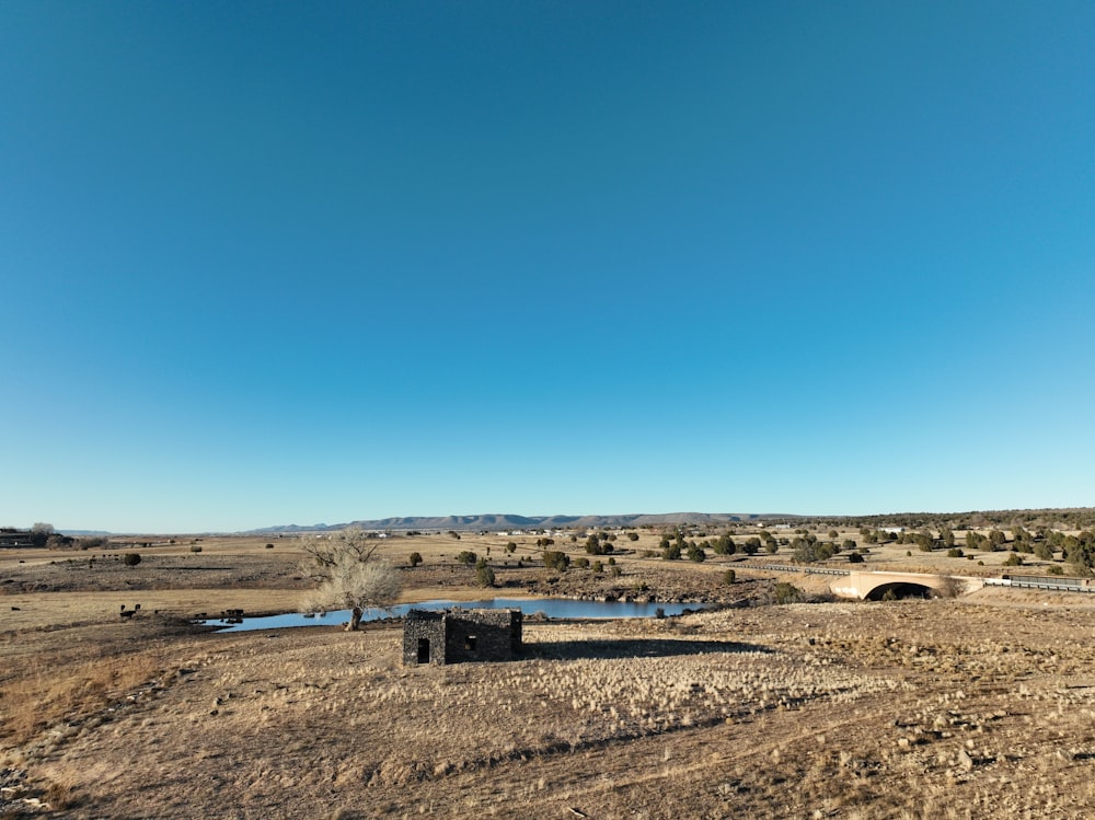 C'è un piccolo stagno in mezzo al deserto