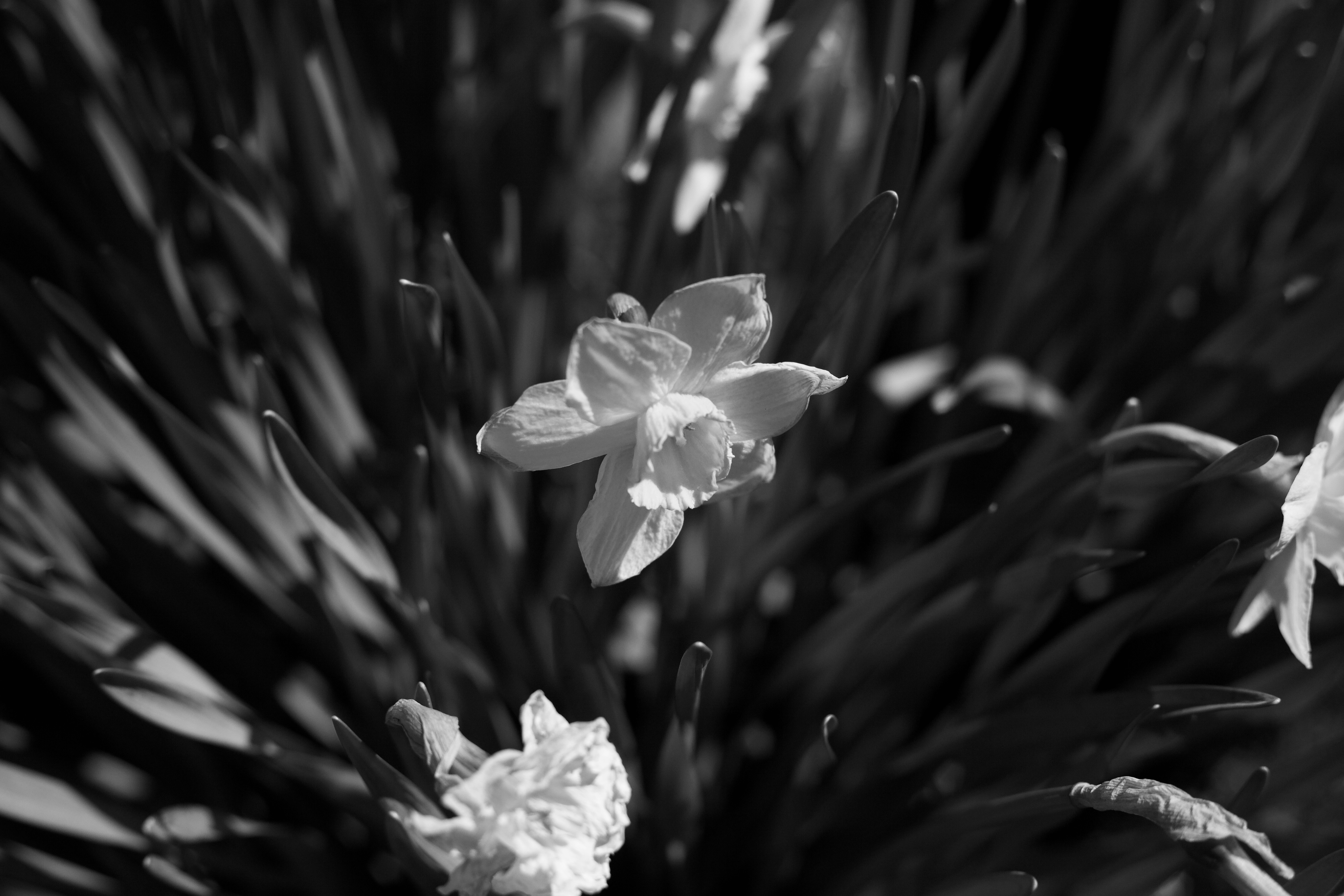 Photo by ethan2327