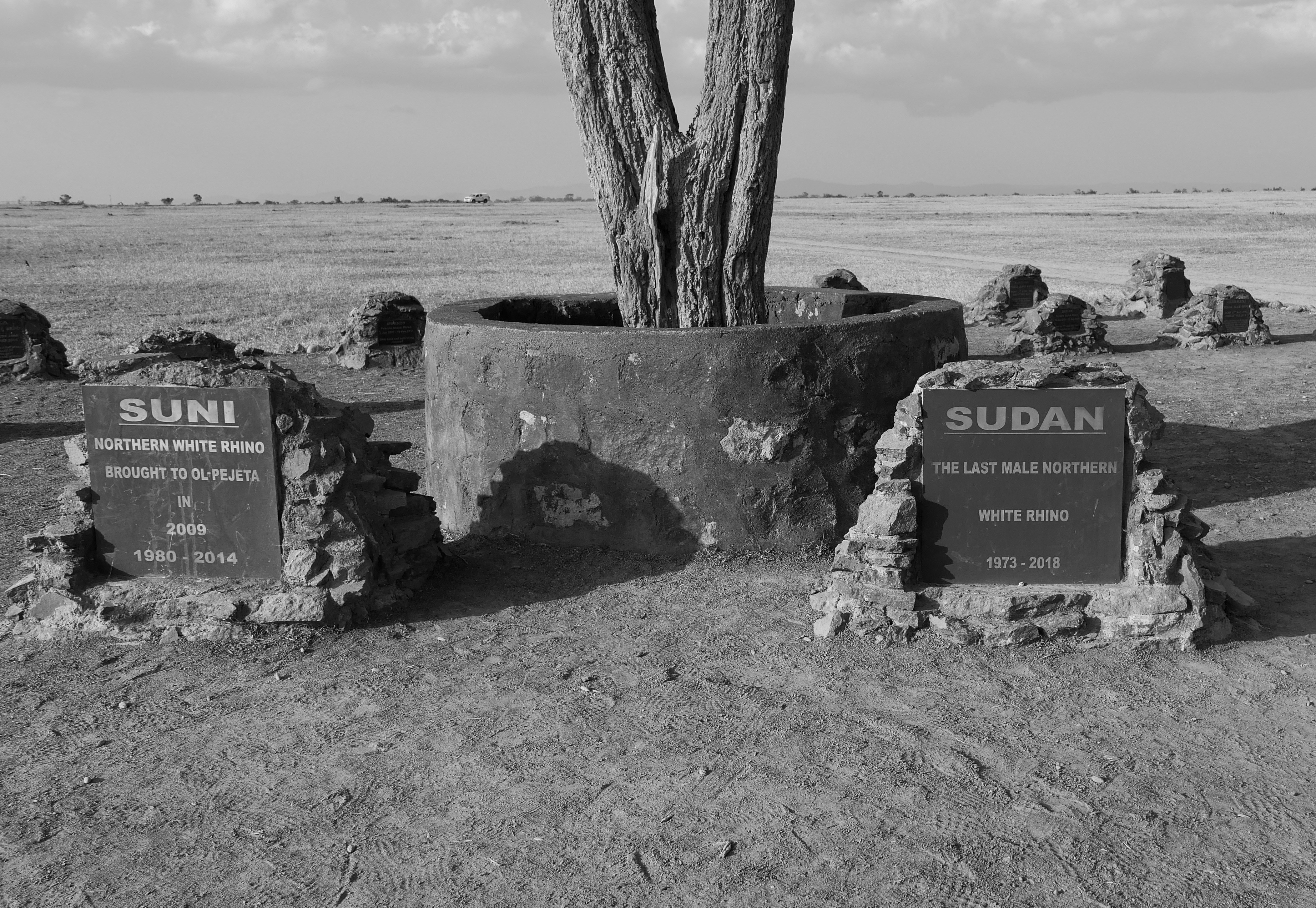 Mnarani Ruins