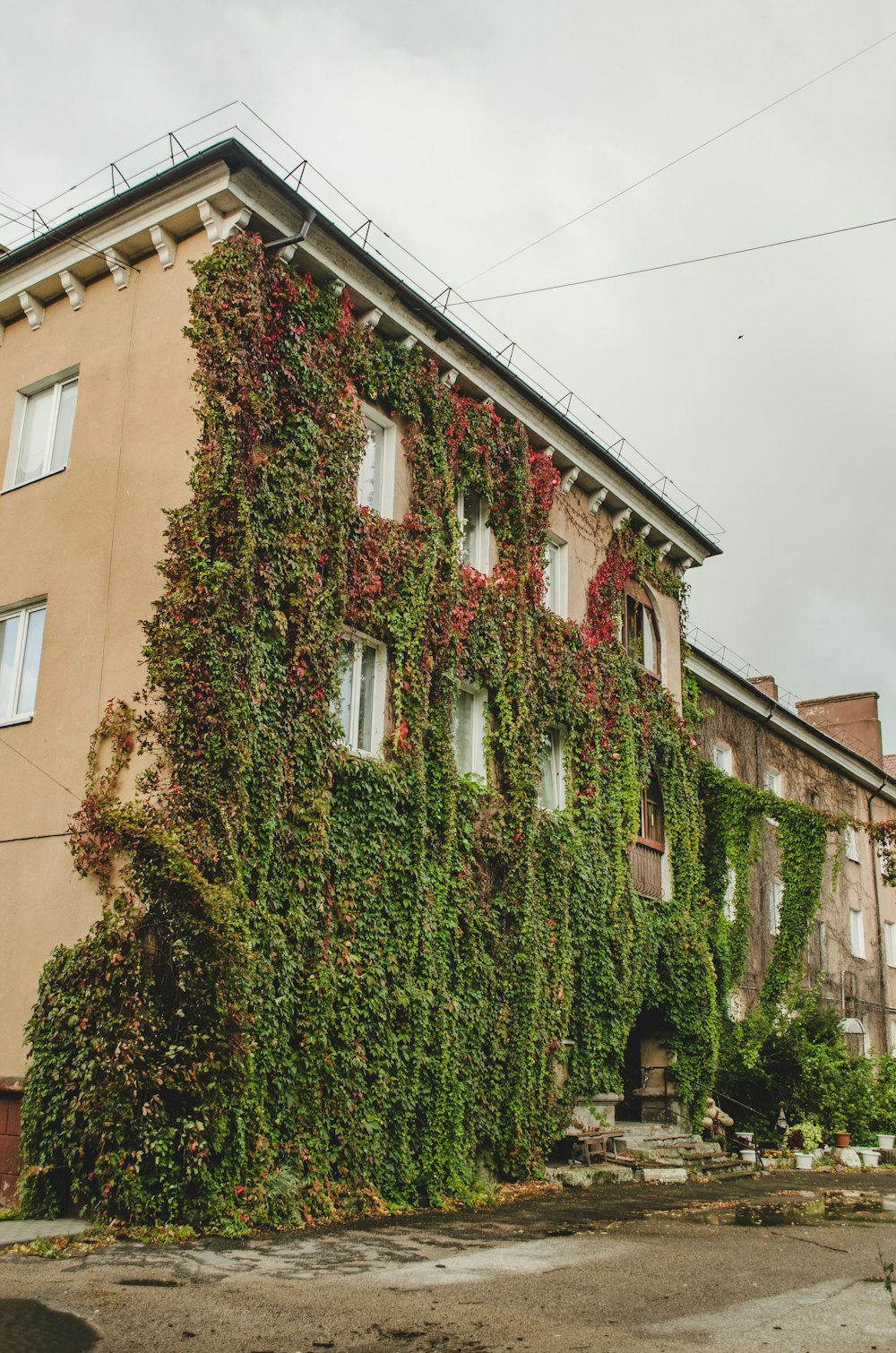 a large building covered in vines and ivys