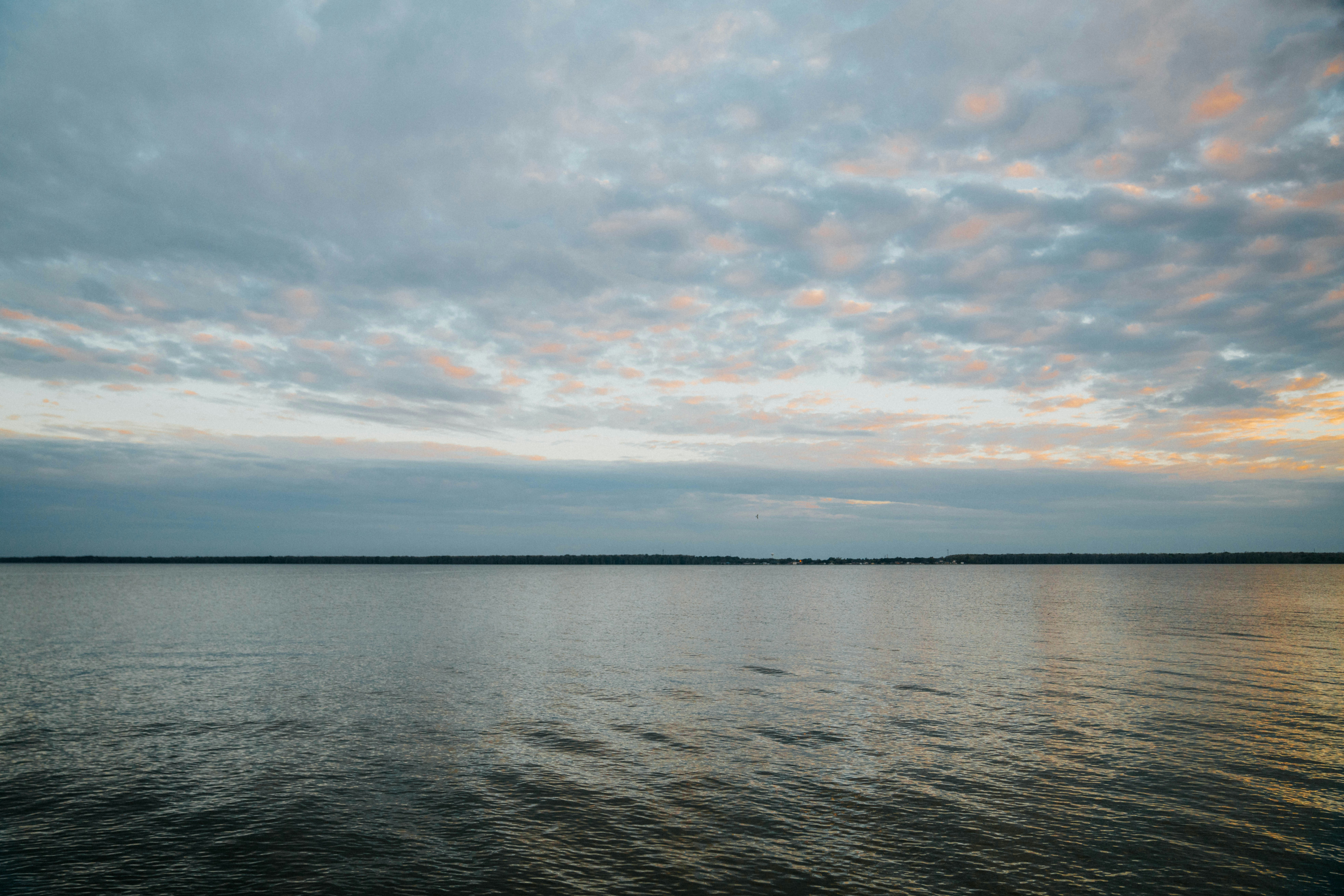 Photo by whitfieldjordan