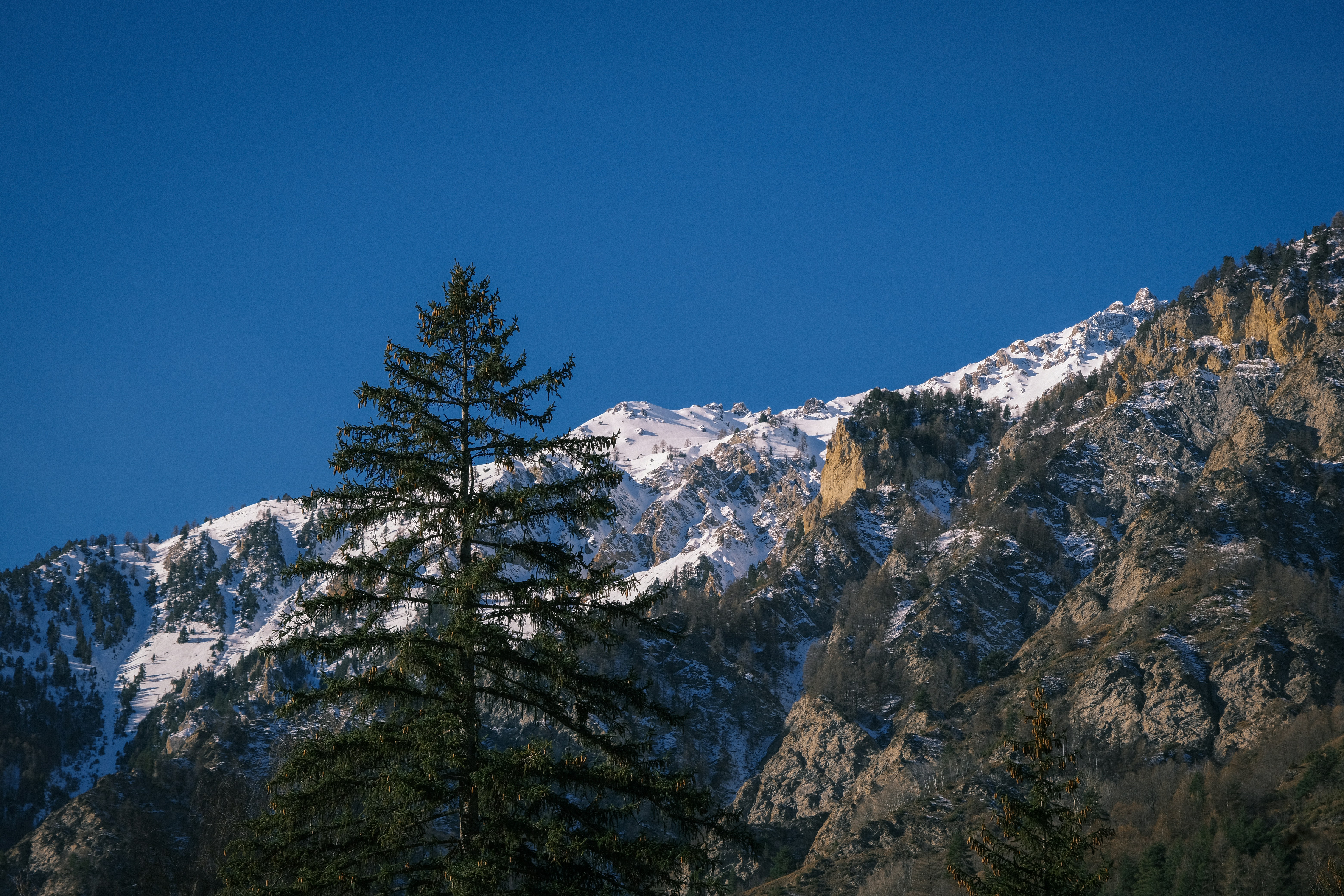 Photo by alex_zijian