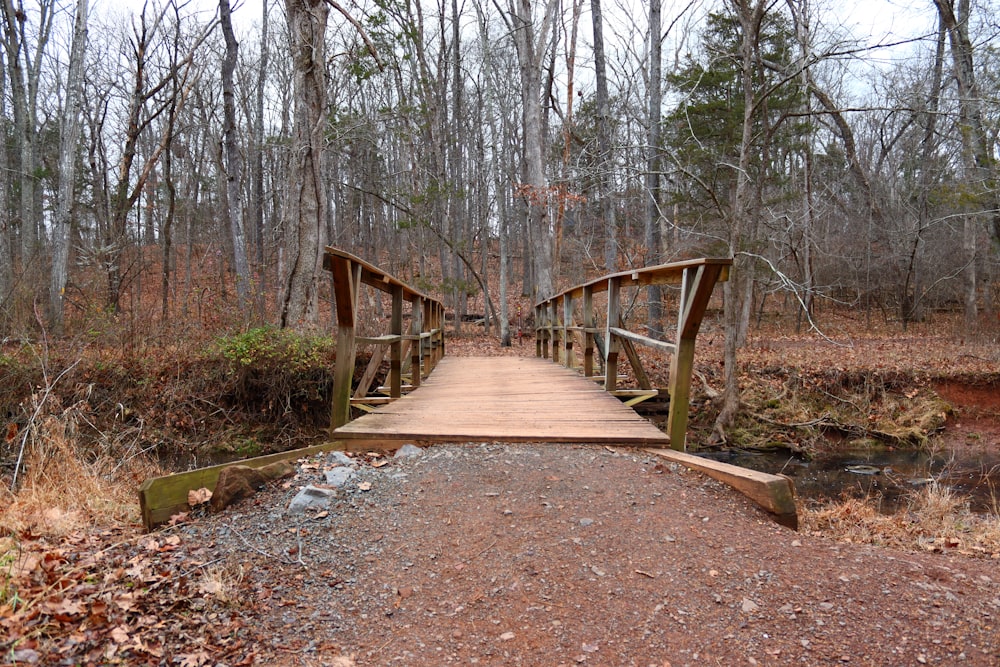 a wooden bridge crosses a small stream in a wooded area