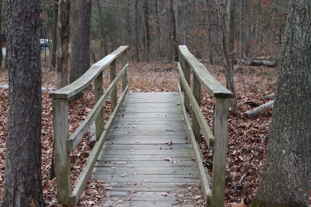 a wooden bridge in a wooded area with leaves on the ground