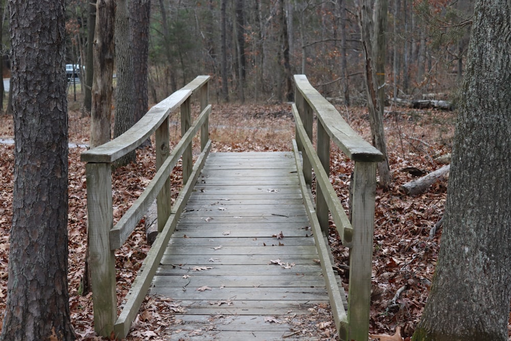 un pont en bois dans une zone boisée avec des feuilles au sol