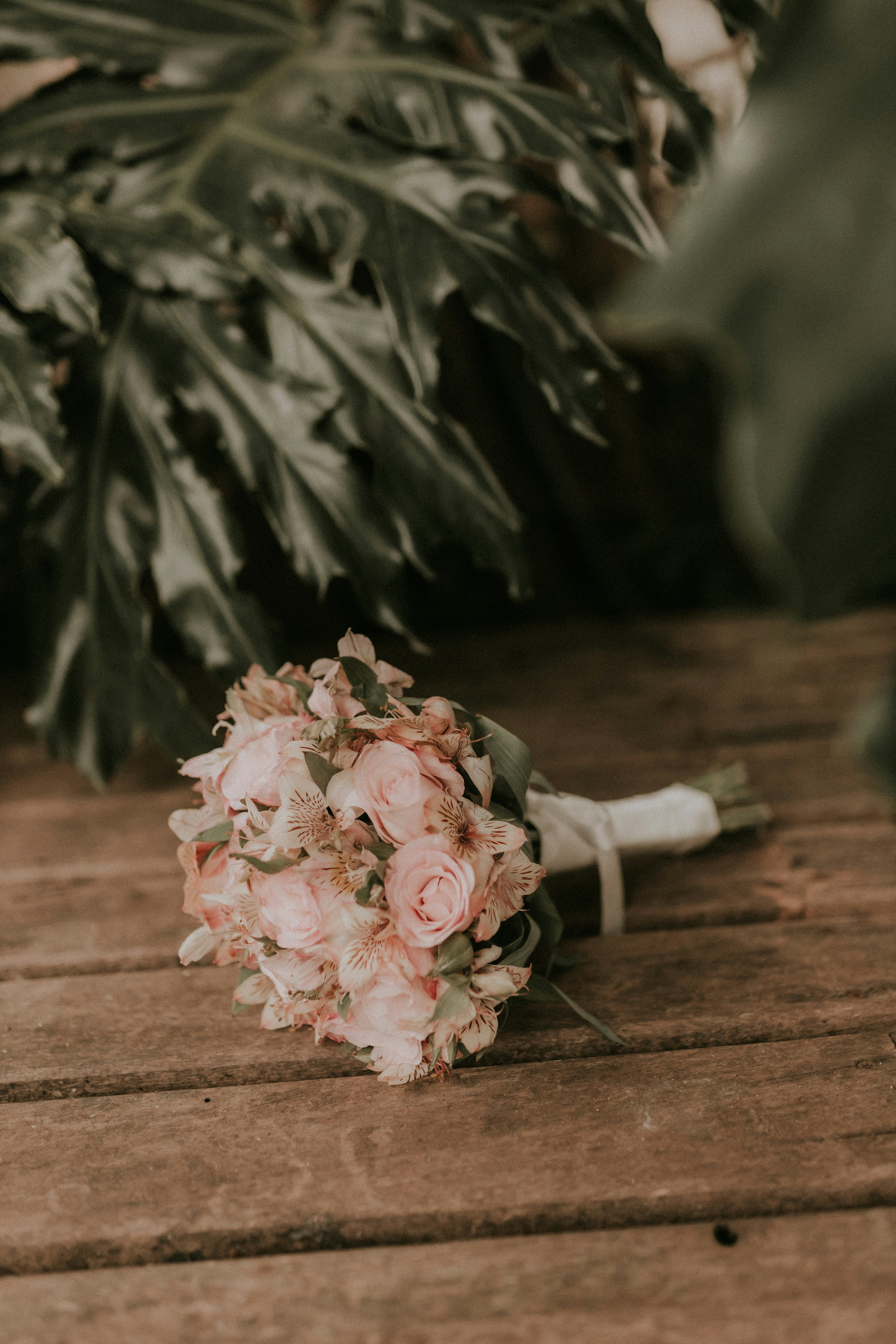 Photo by alexandermassph