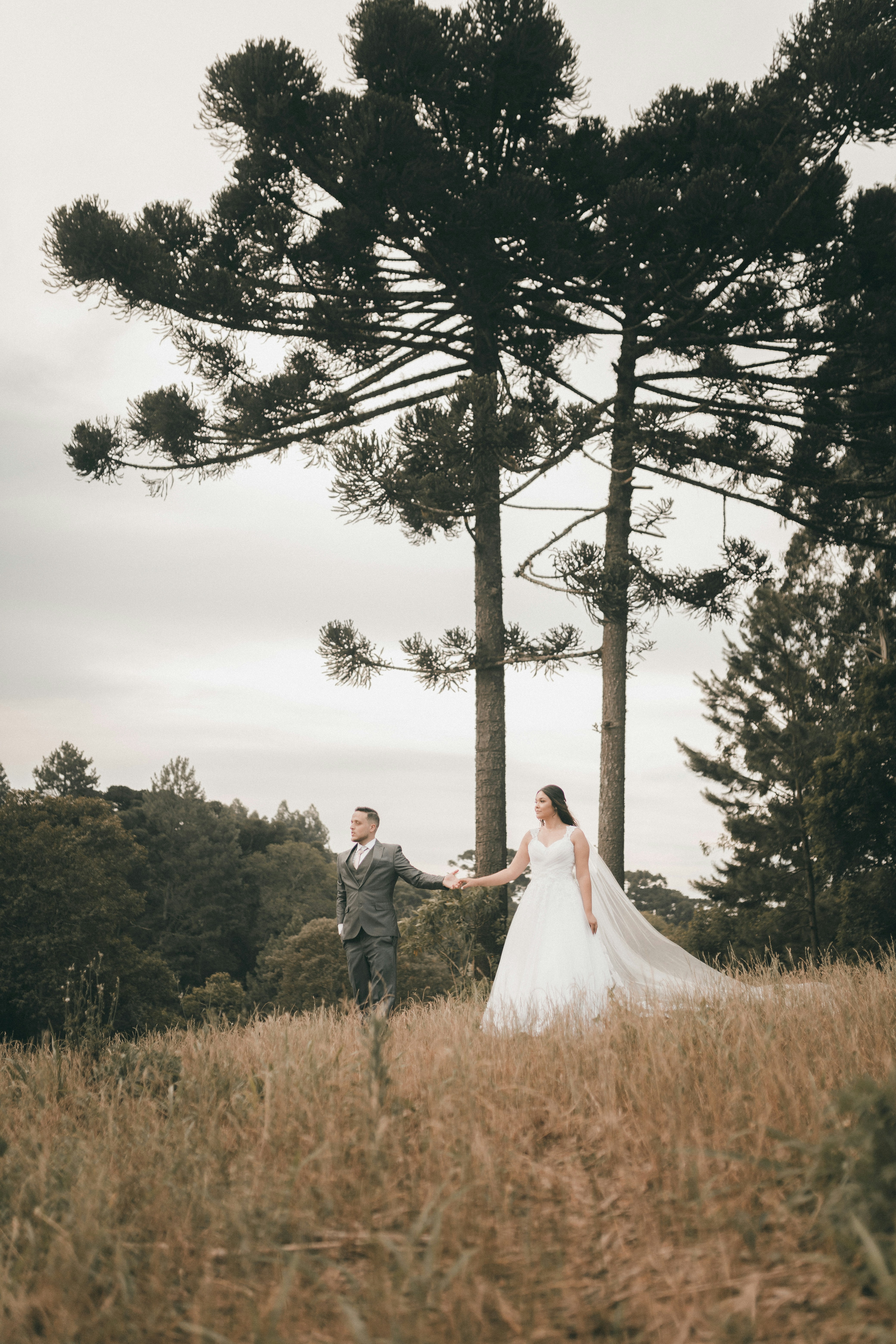 Photo by alexandermassph