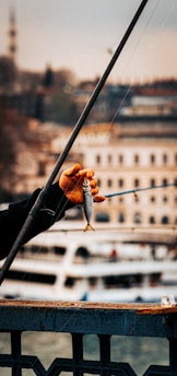 a person holding a fish on a fishing rod