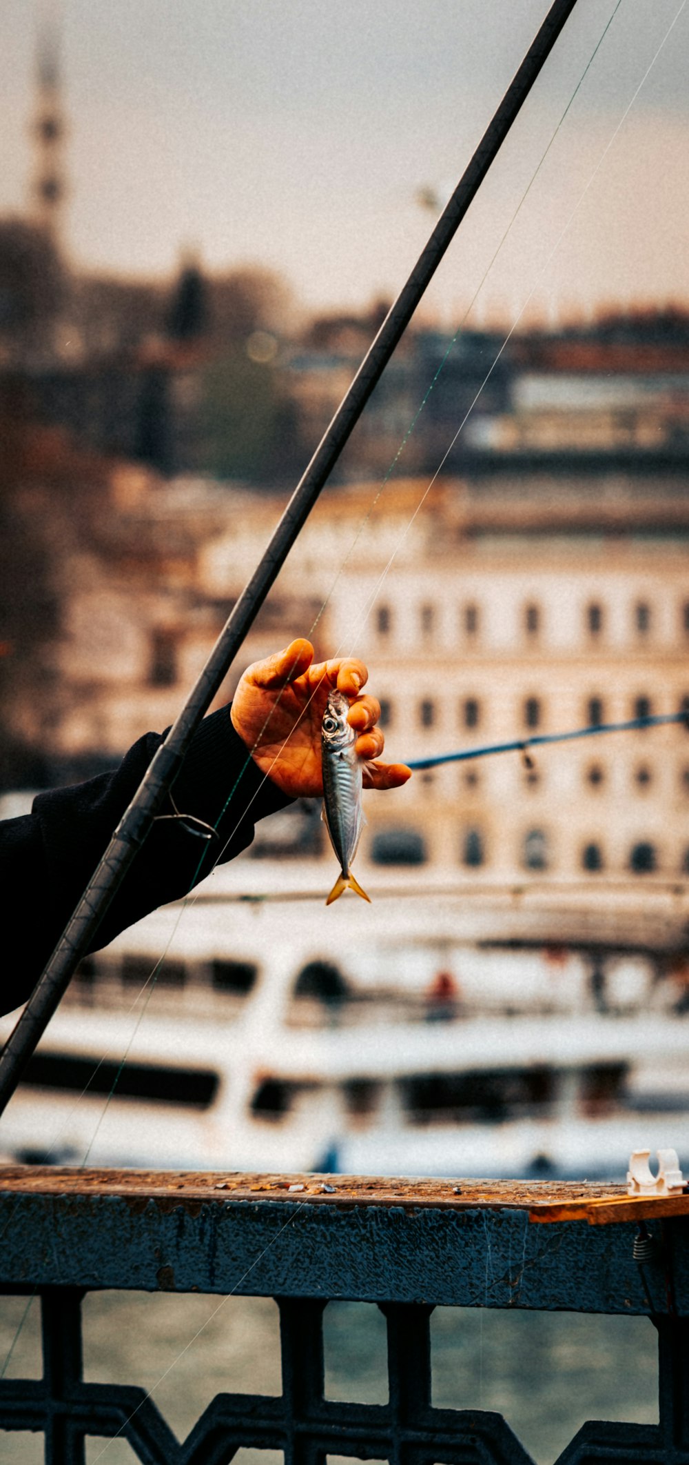 a person holding a fish on a fishing rod