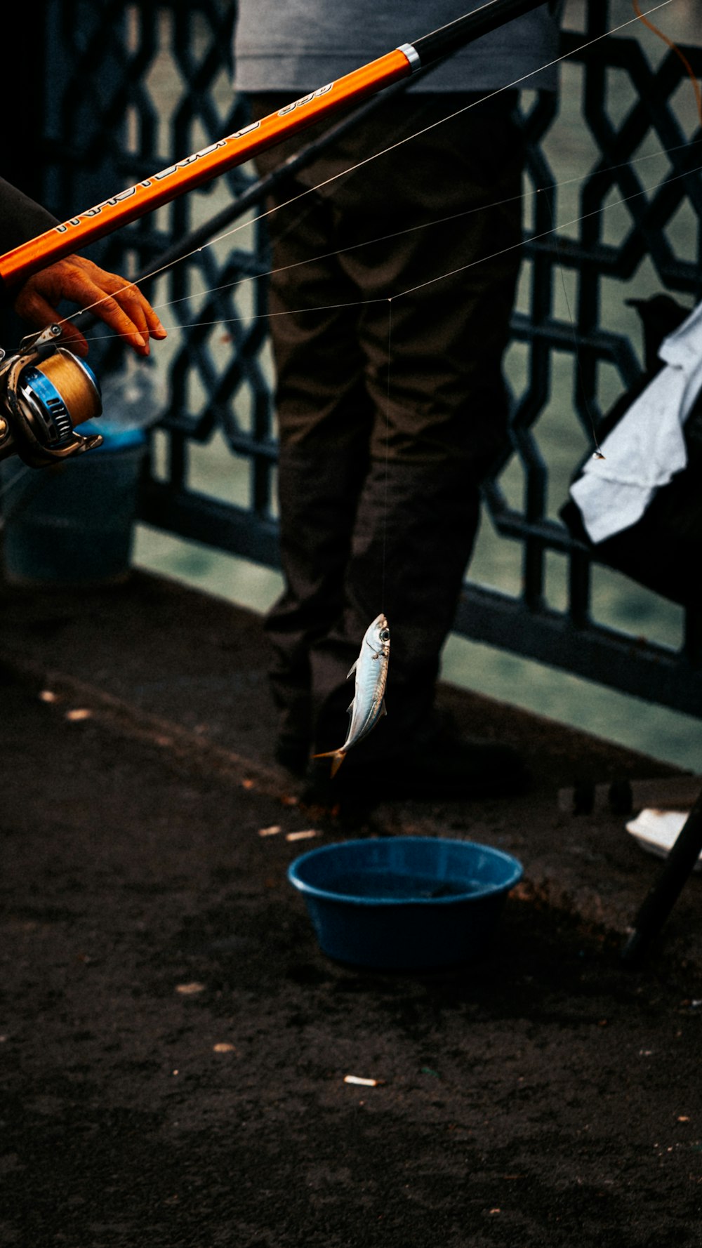 a man holding a fishing rod and a fish