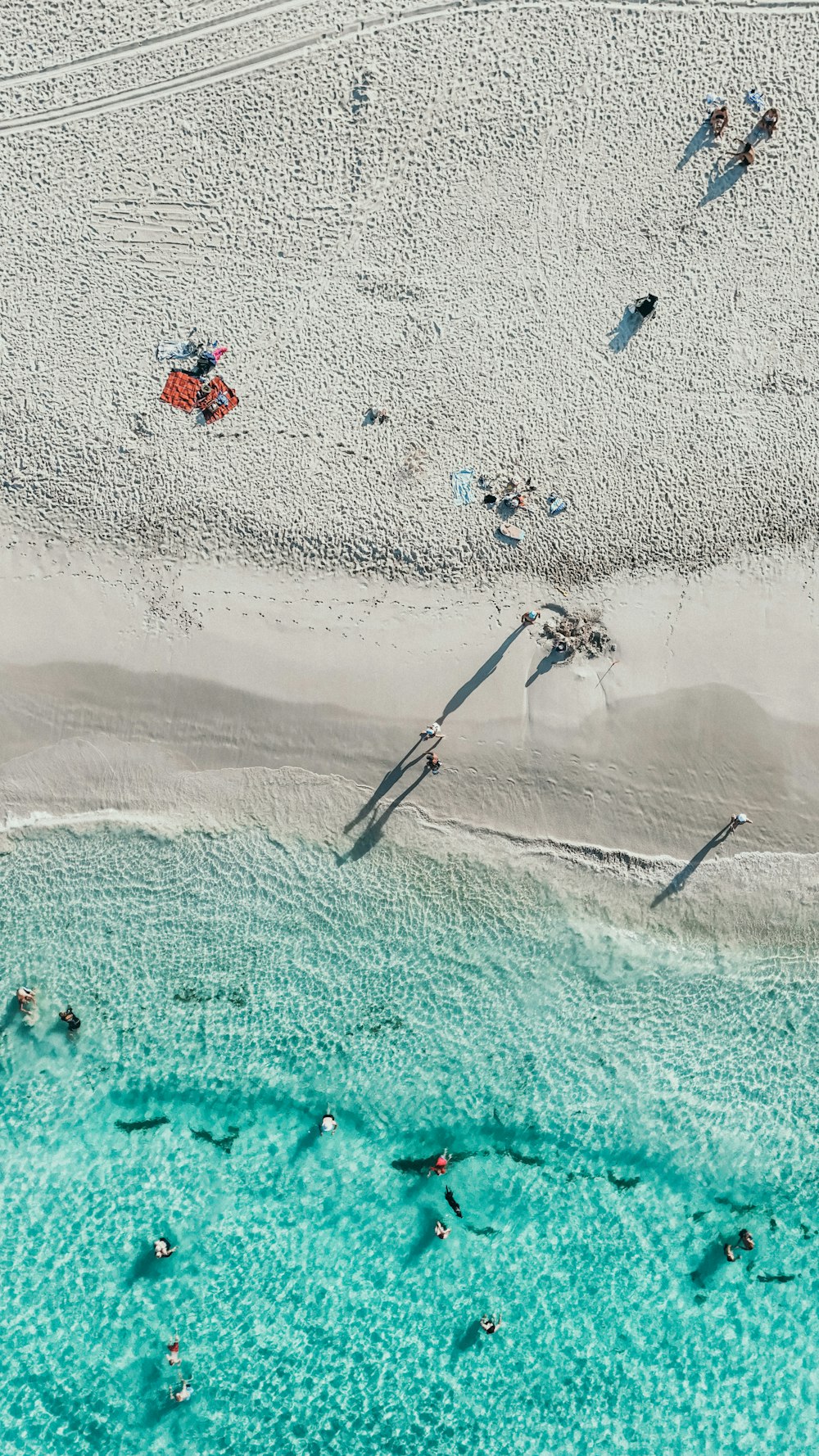 a group of people swimming in the ocean