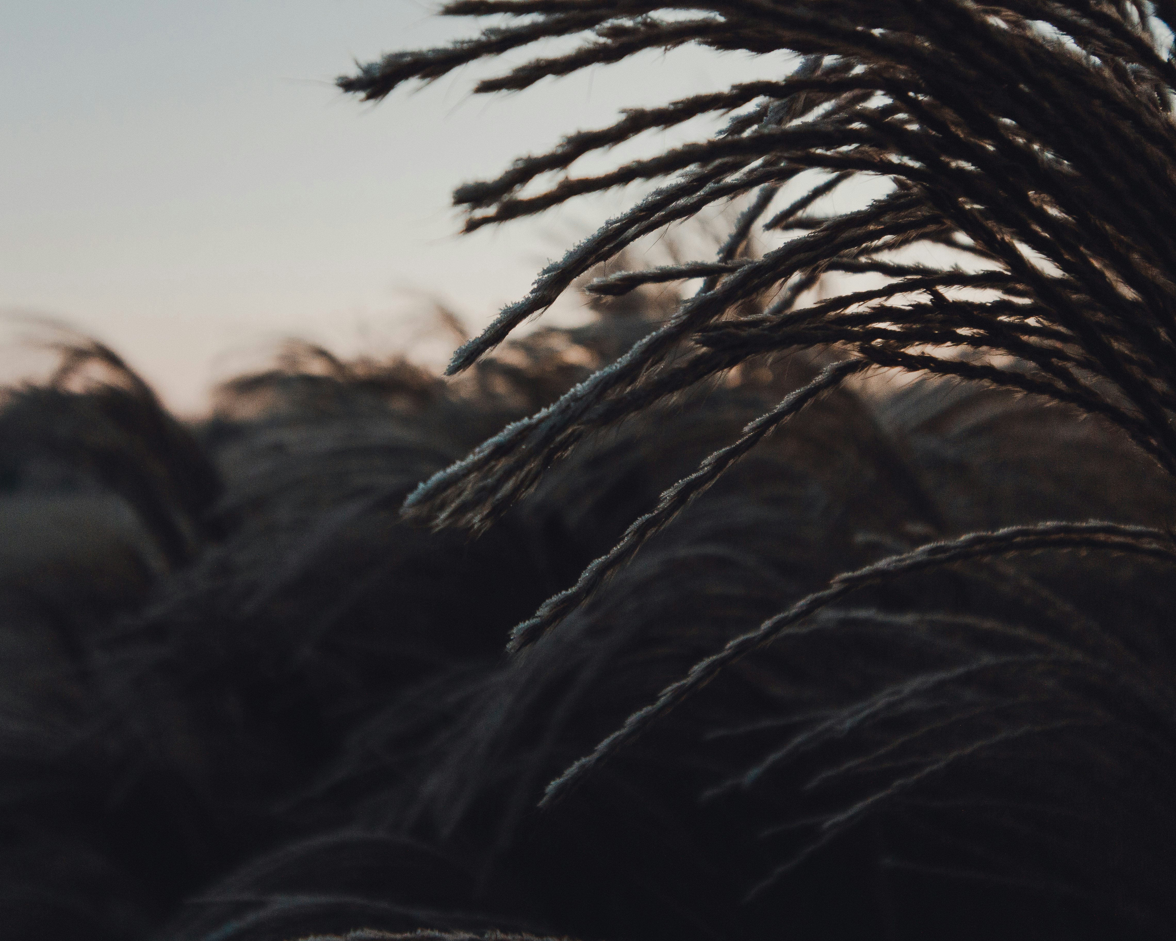 Photo by splashbrobuttsy91