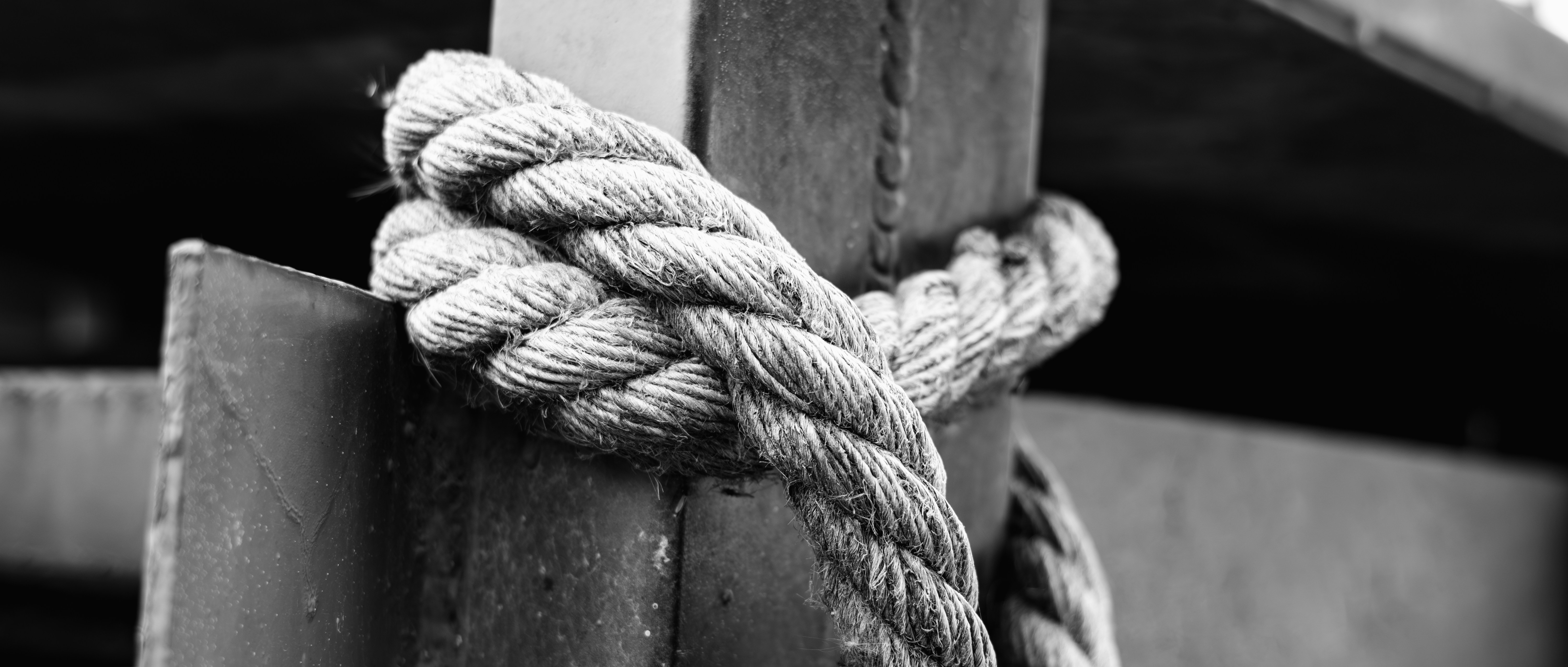 Photo by summerobelisk