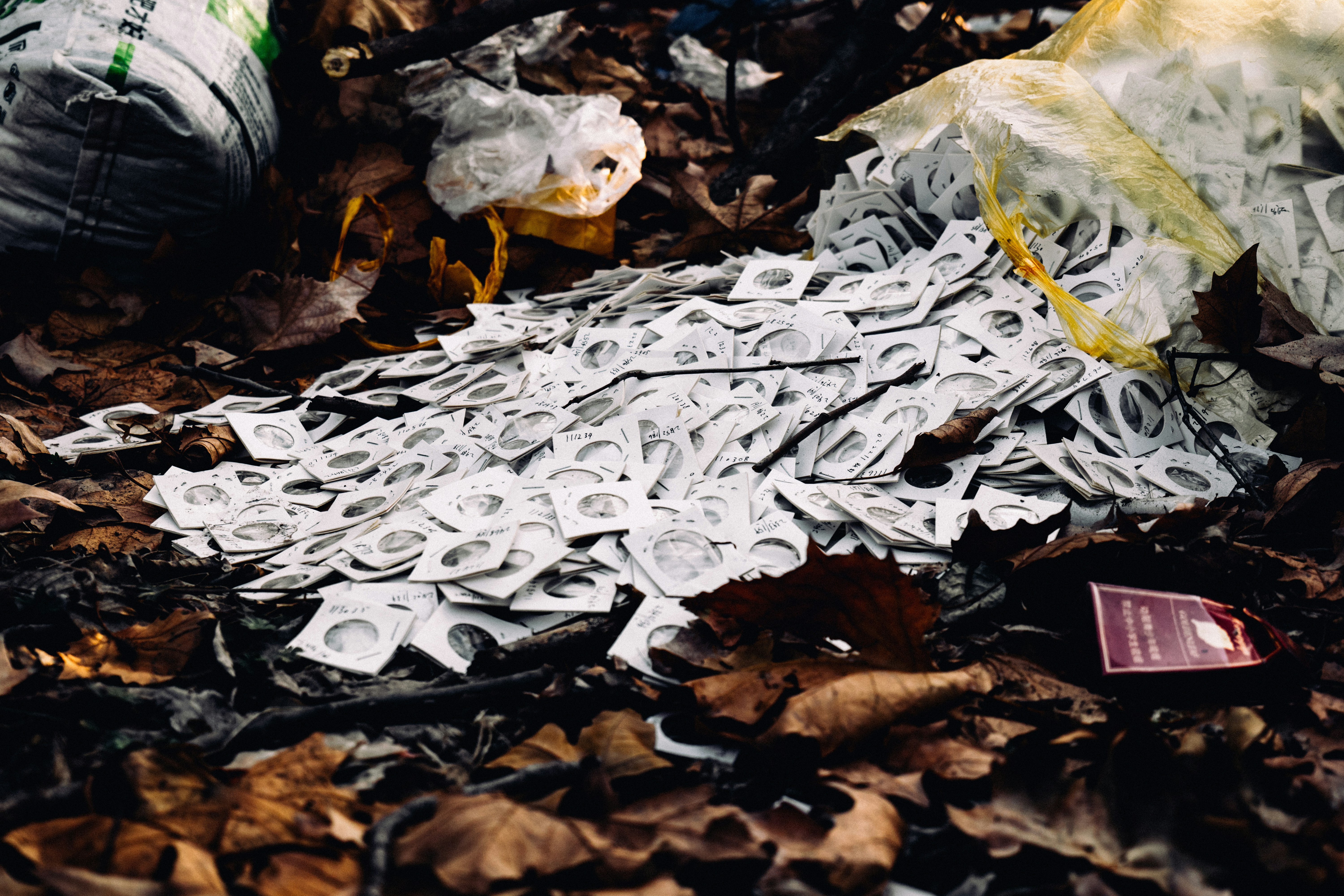 a pile of newspaper sitting on top of a pile of leaves