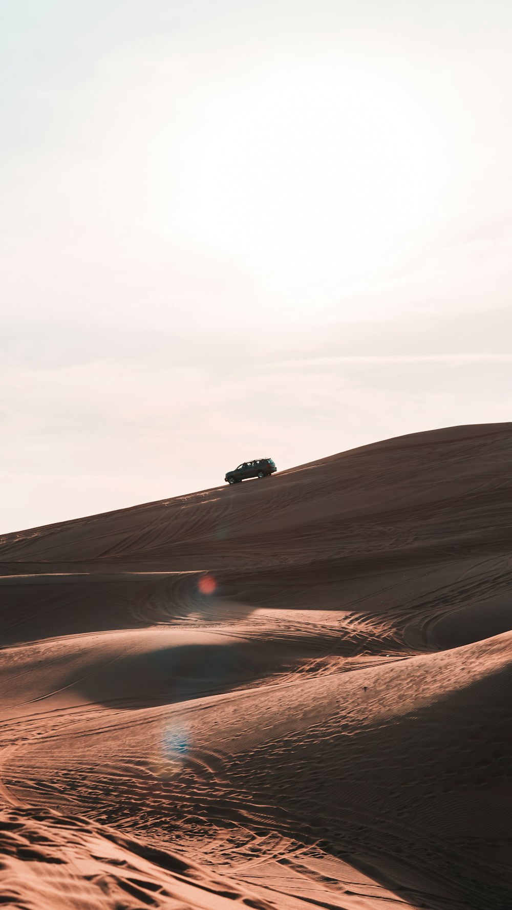 a lone tree in the middle of a desert