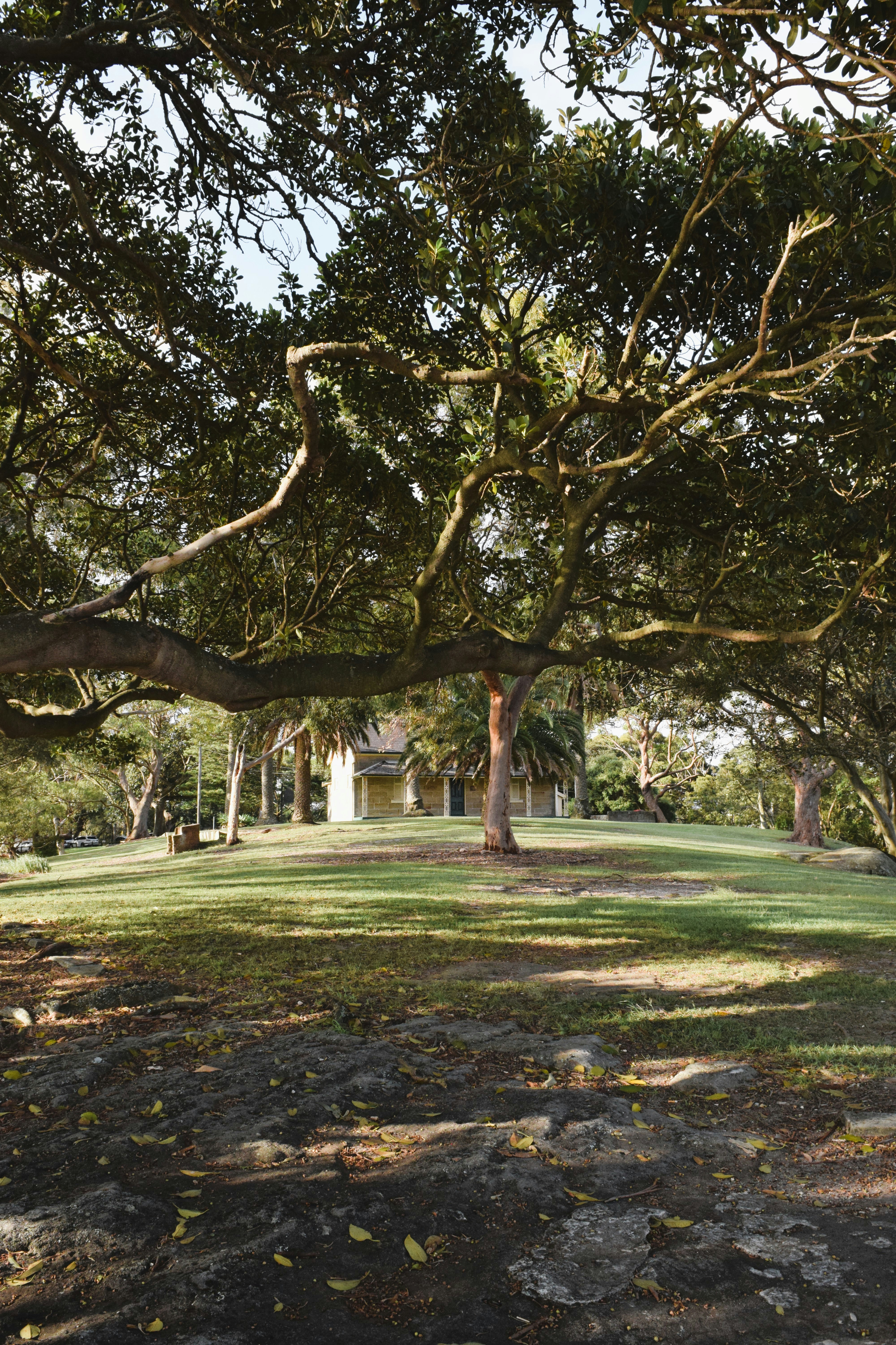 Photo by ch_photography