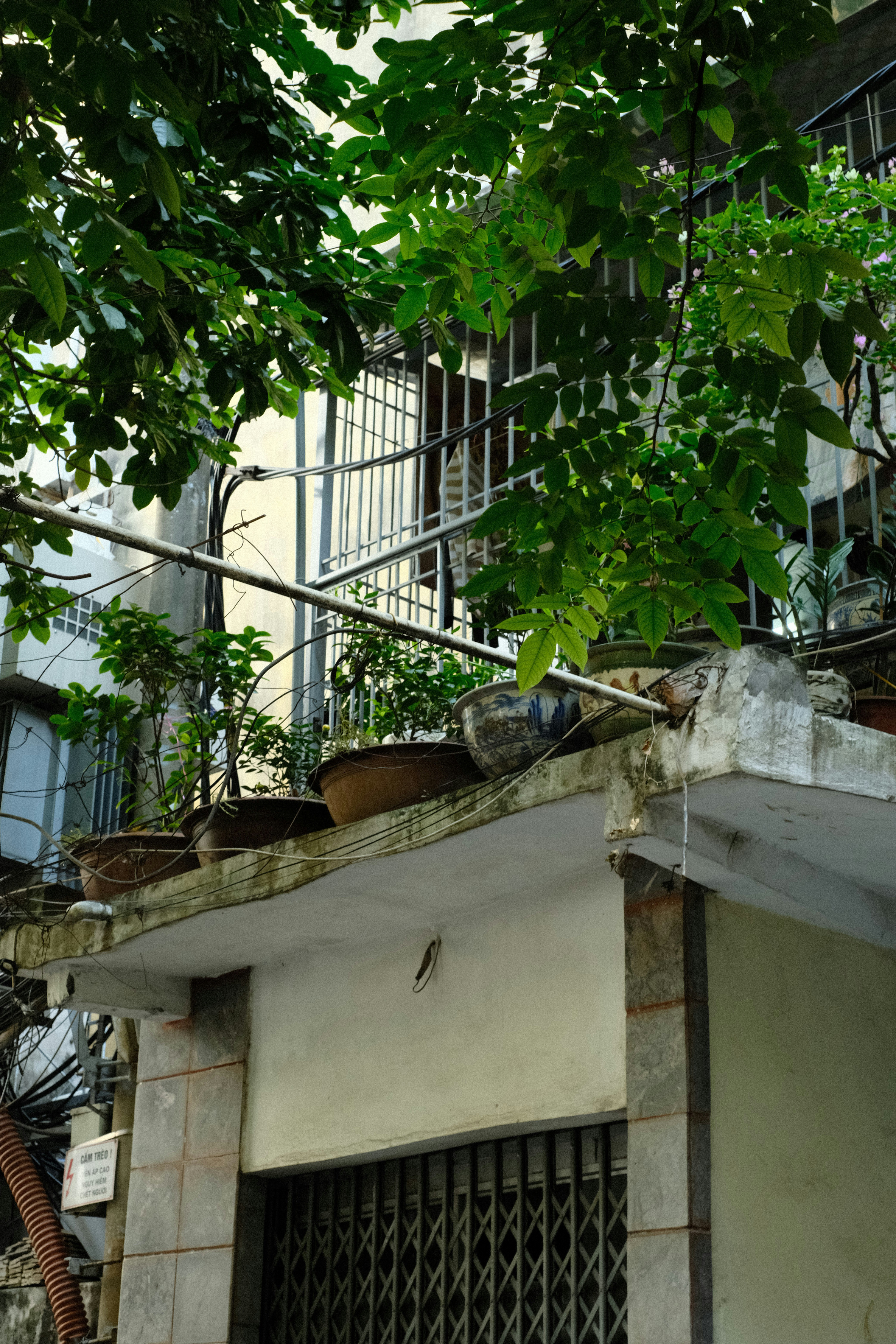 Photo by donguyenkhanhs