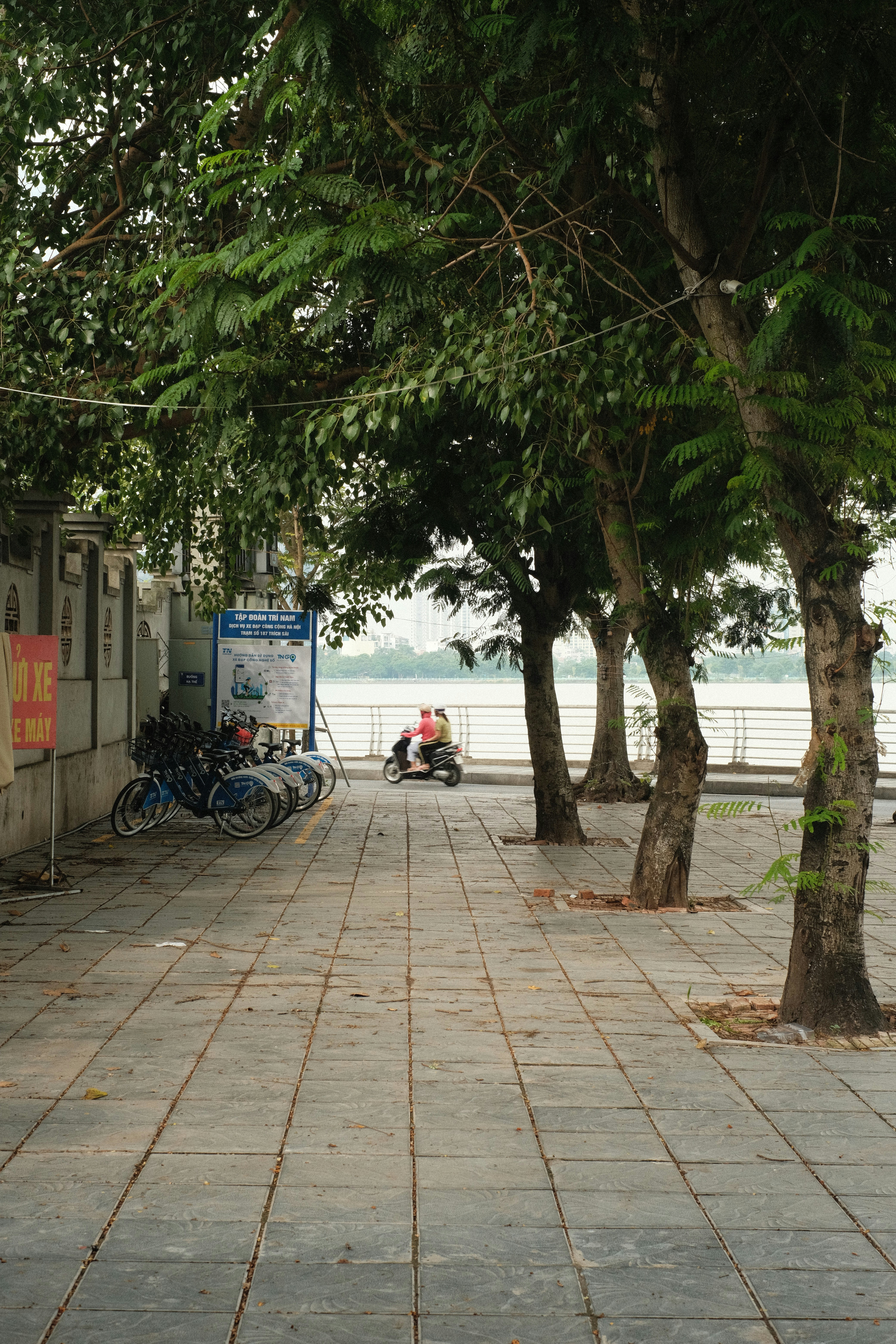 Photo by donguyenkhanhs