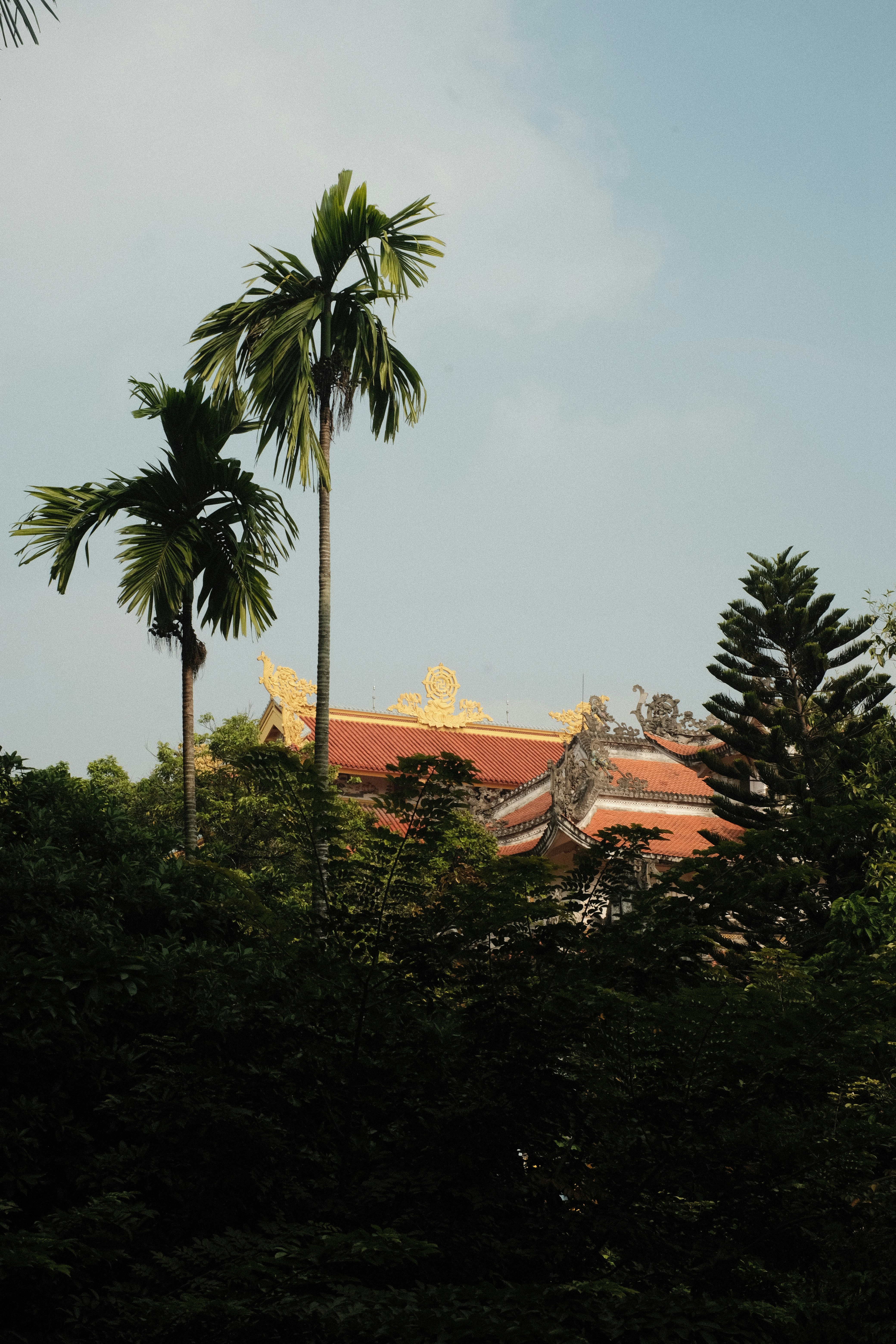 Photo by donguyenkhanhs