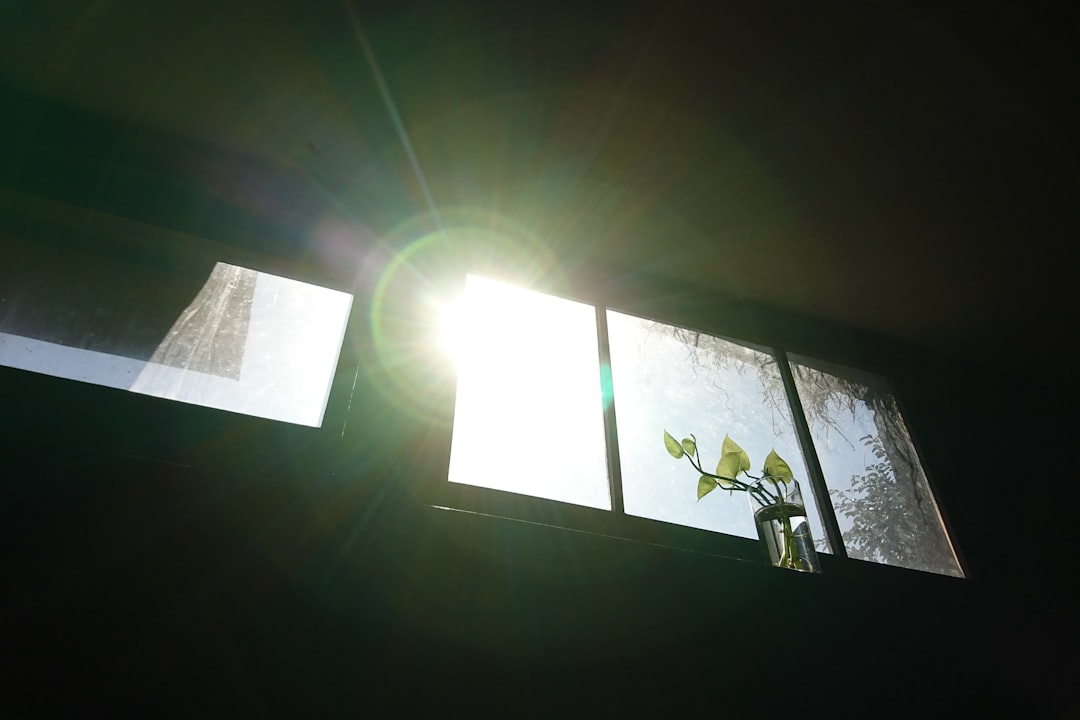 Sunlight filtering through tinted windows