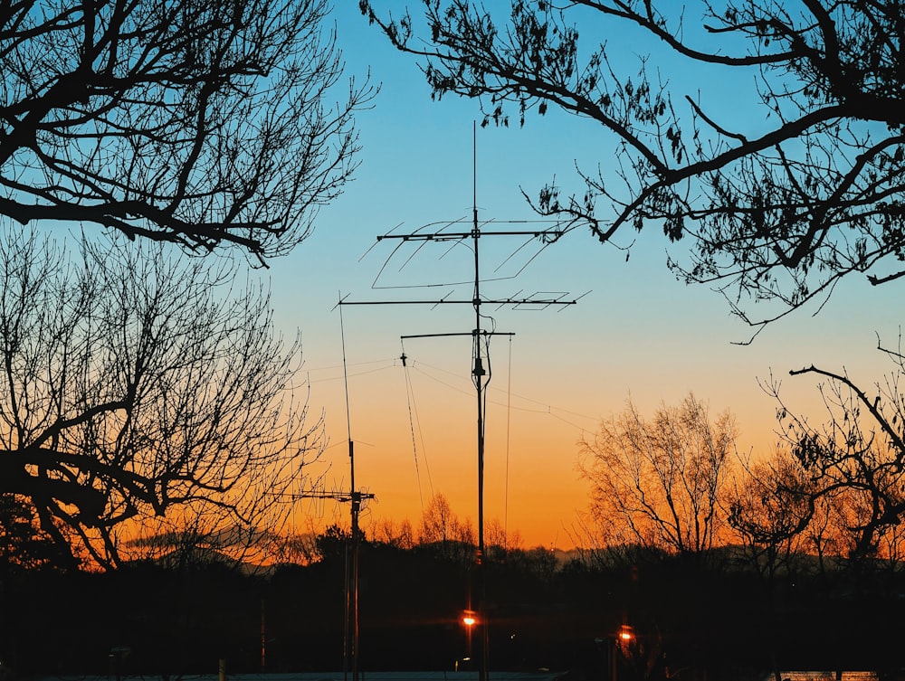 a very tall mast sitting in the middle of a forest