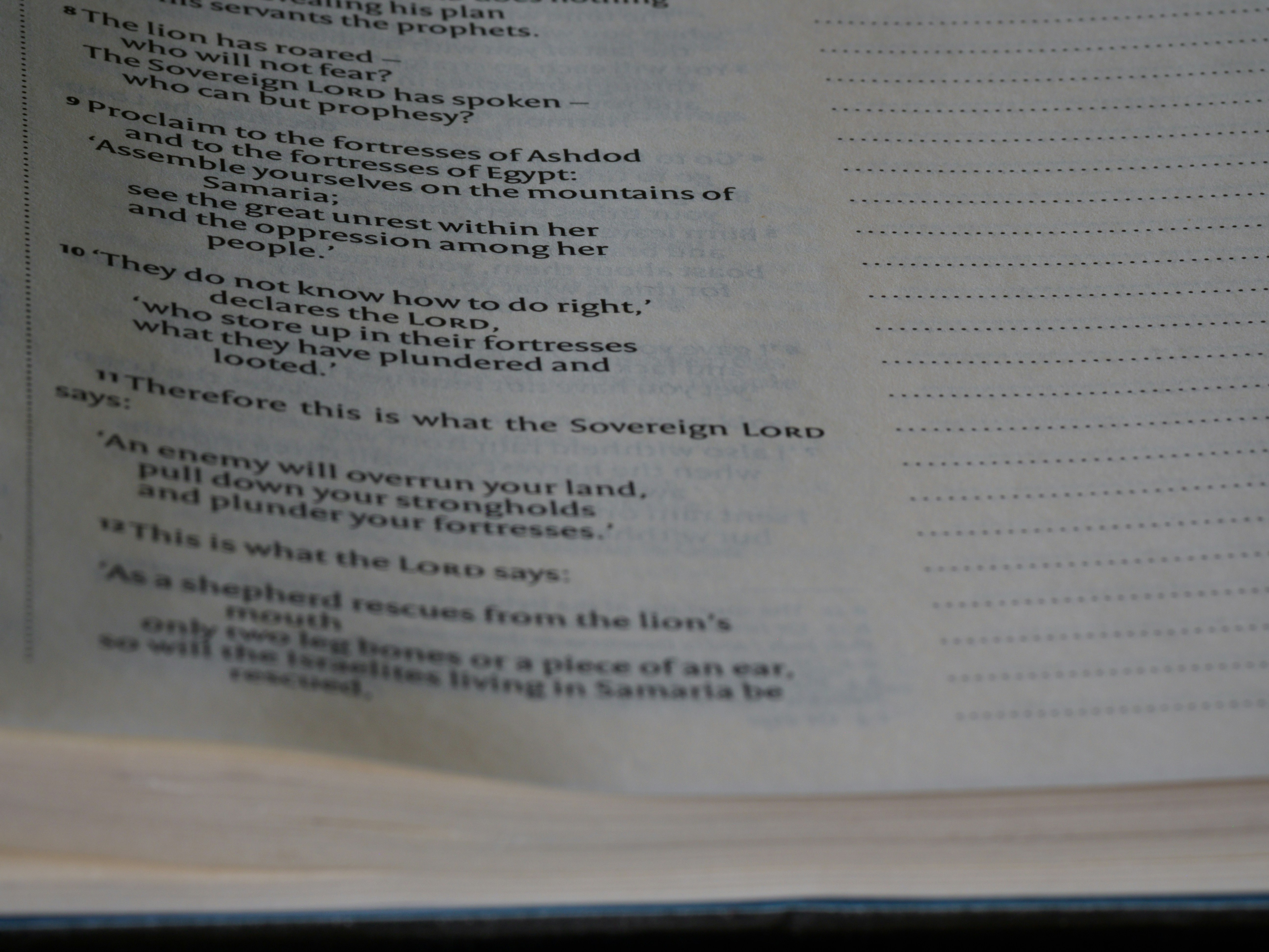 Photo by brett_jordan