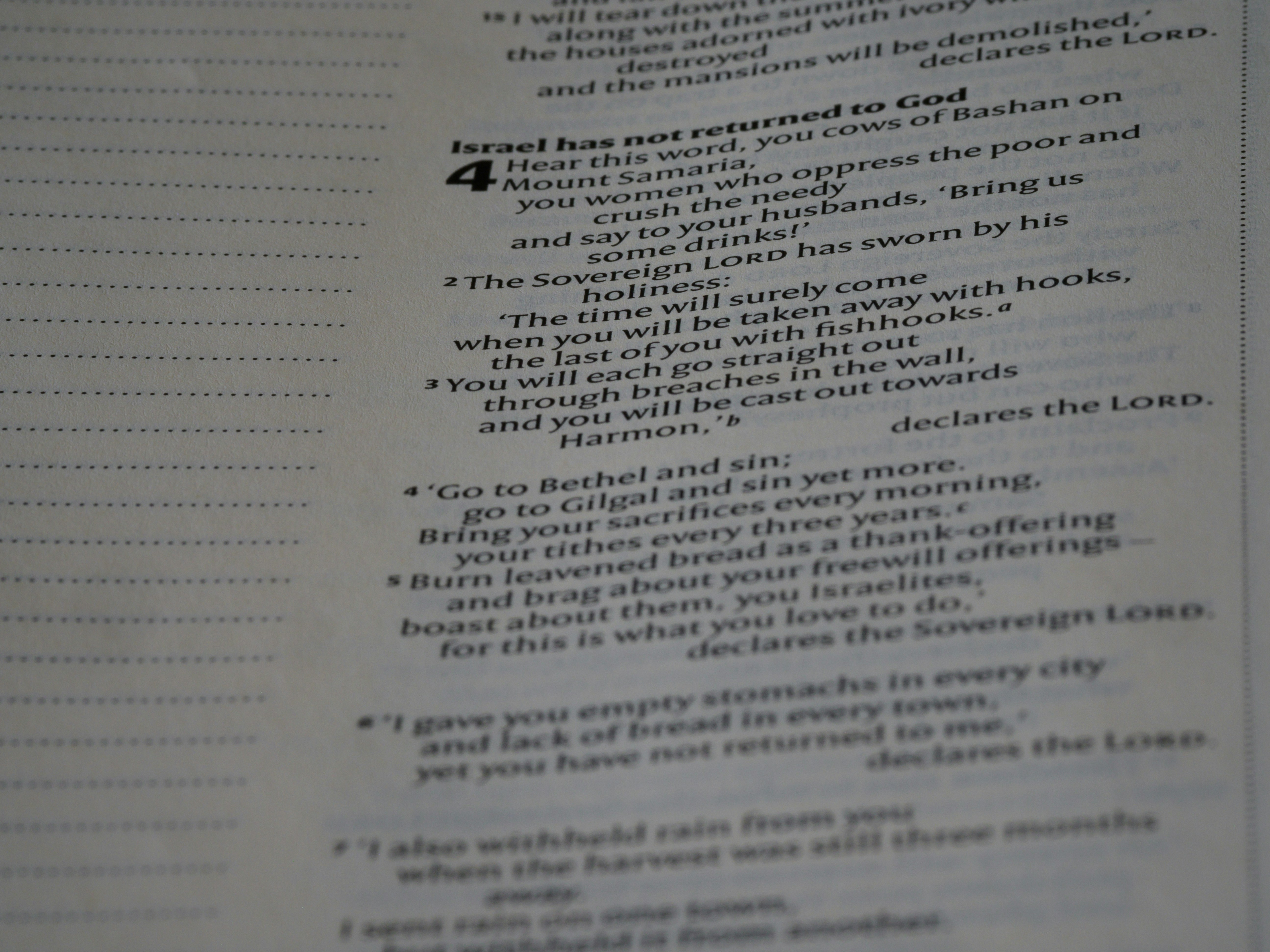 Photo by brett_jordan