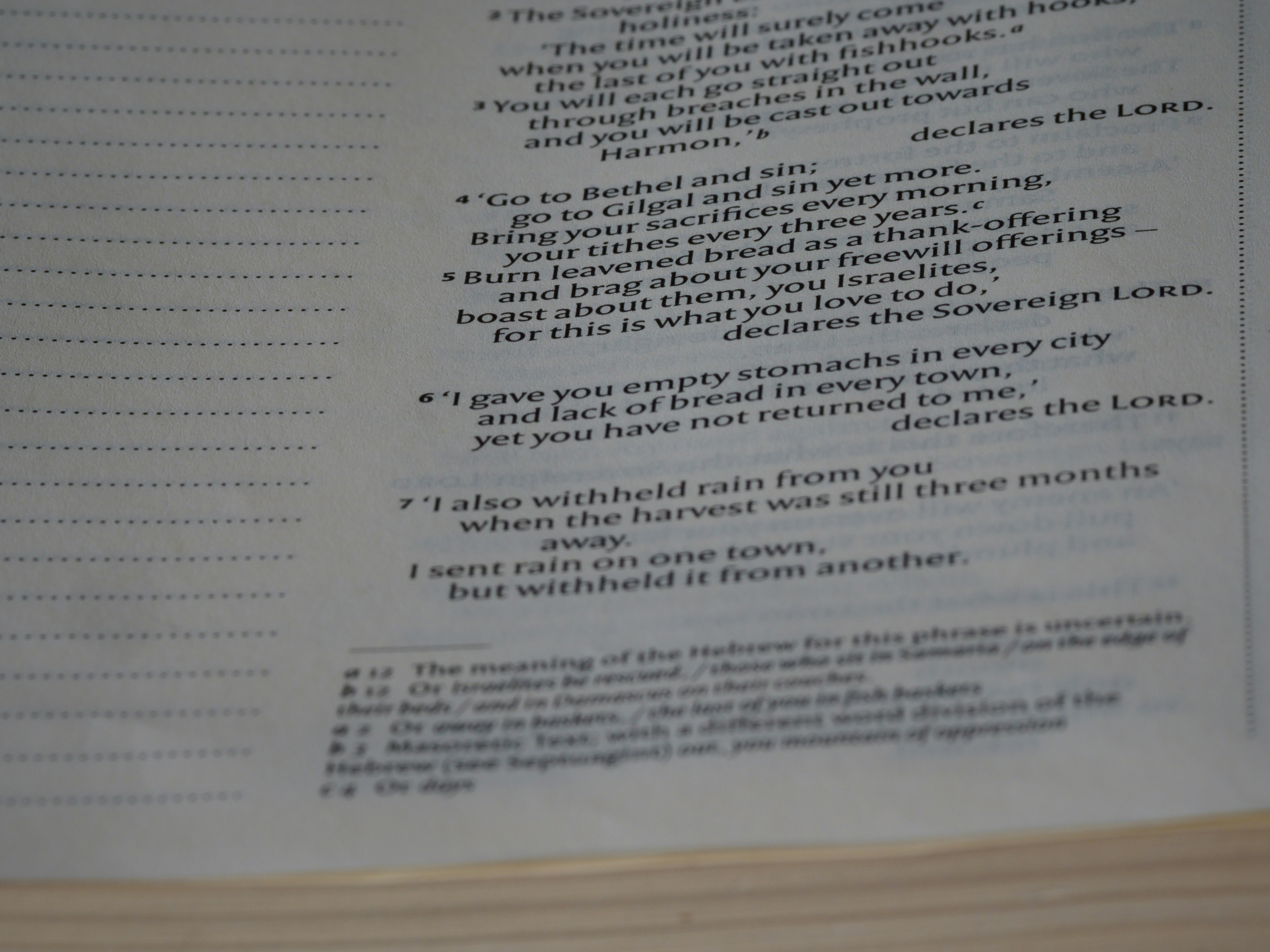 close up, bokeh, macro, blur, blurred background, close focus, bible, old testament, hebrew bible, christian, judaism, history, text, reading, bible study, devotions, text, NIV, New International Version, type, typography, canon, christianity, holy scripture, holy bible, scripture, old testament, hebrew bible, prophecy, exile, judgement, judgment, redemption, septuagint, destruction of jerusalem, restoration of israel, restoration, amos, minor prophets, jeroboam ii, kingdom of judah,