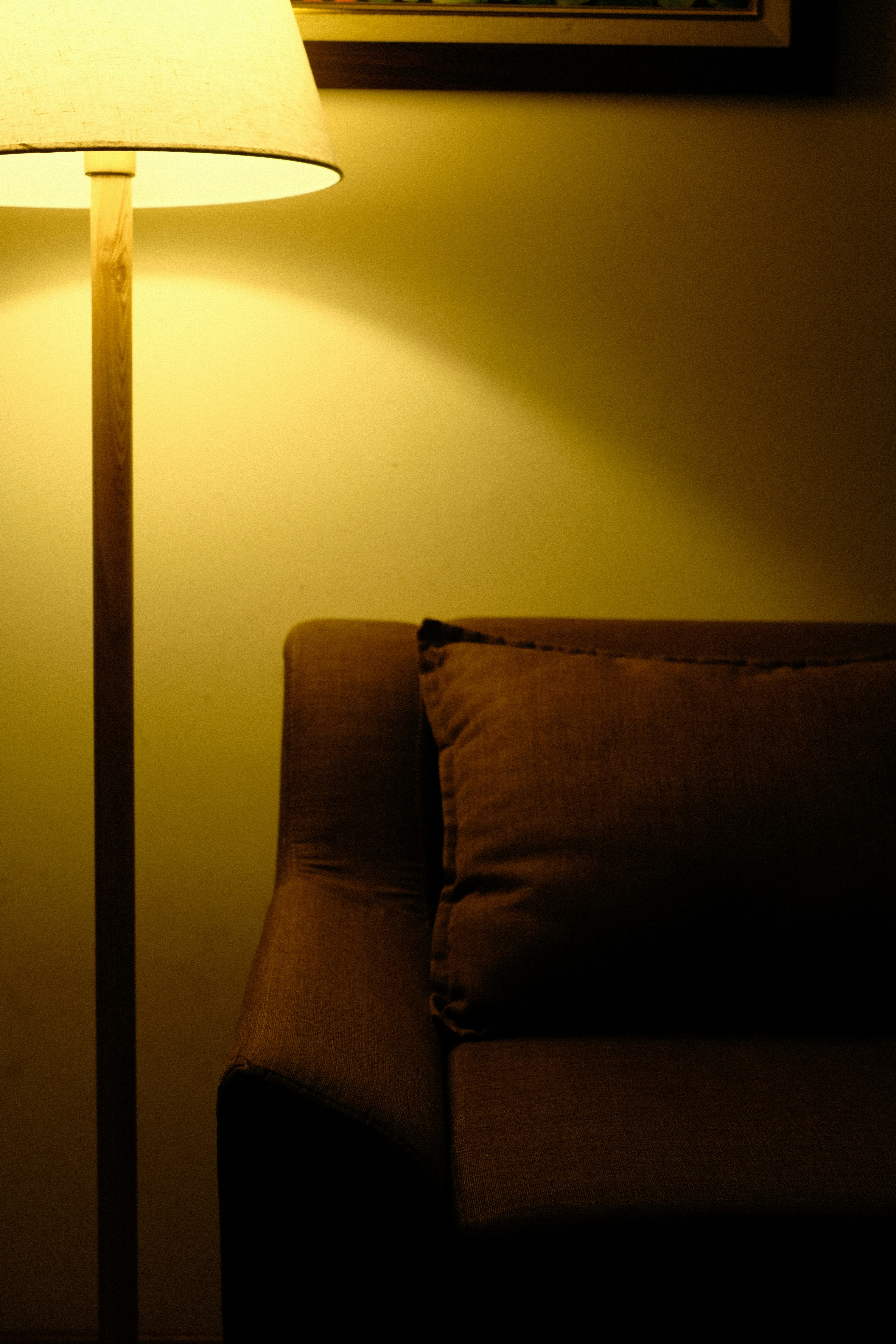 Photo by donguyenkhanhs