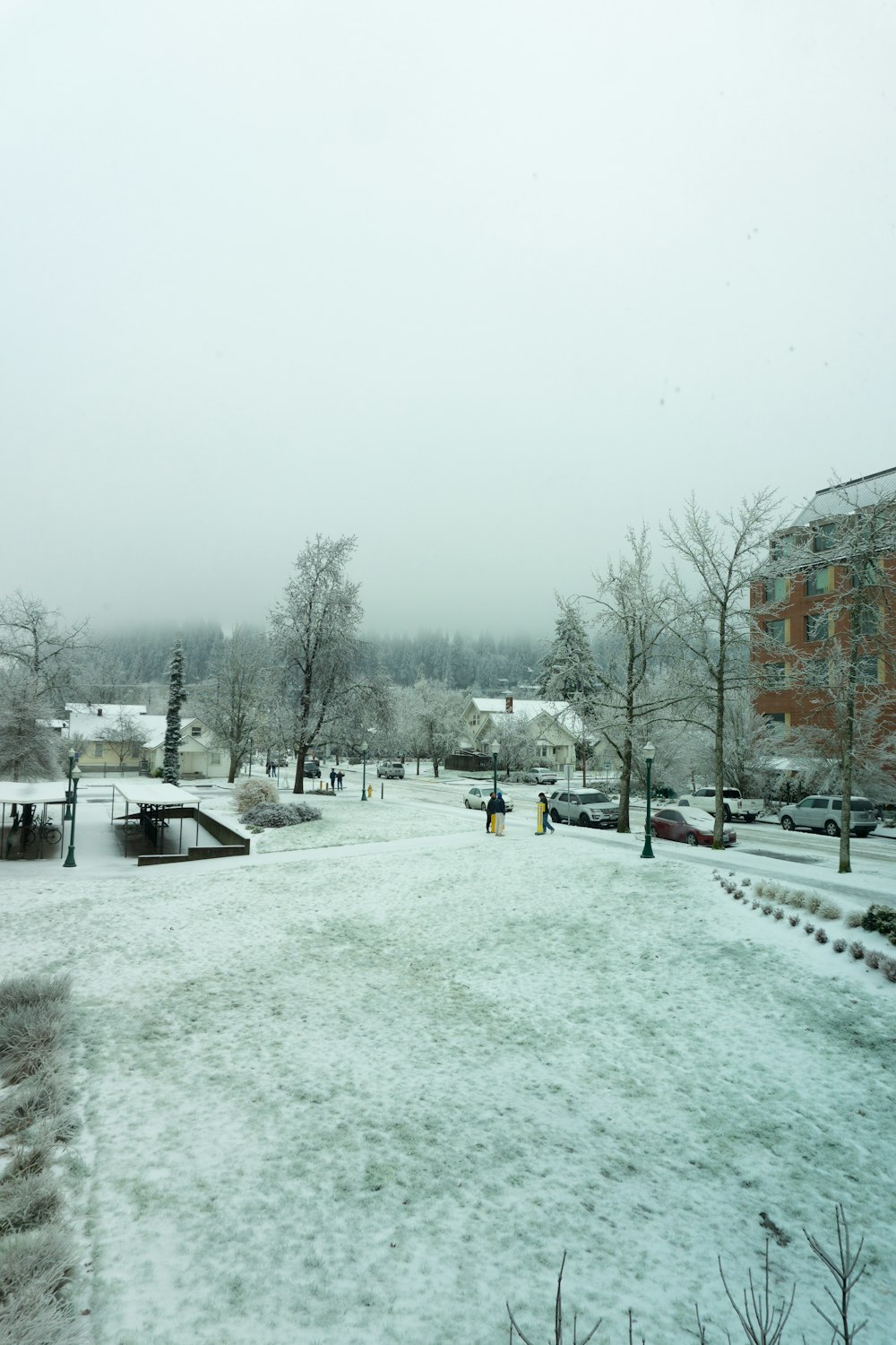 a snow covered park with benches and trees