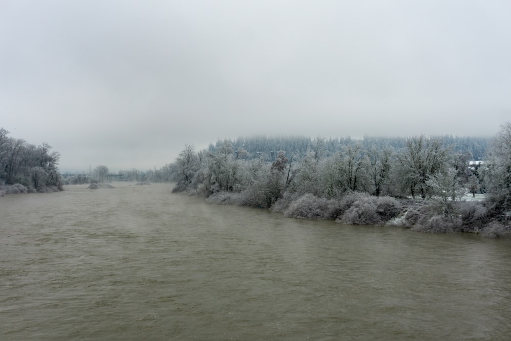 a body of water surrounded by trees covered in snow