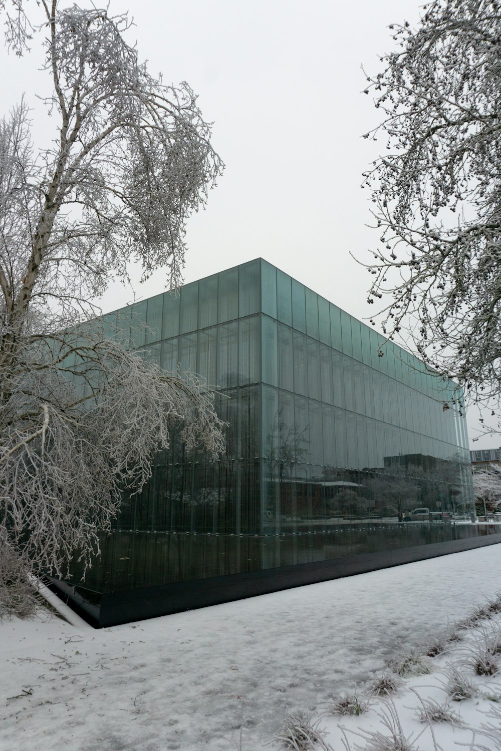 a building with a glass front in the snow