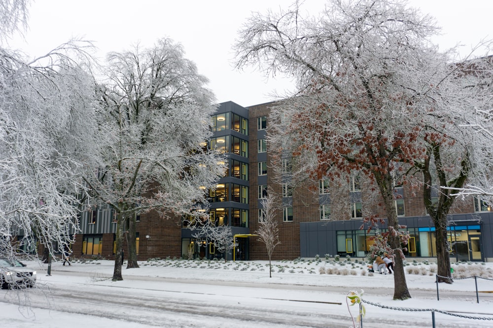 a large building surrounded by snow covered trees