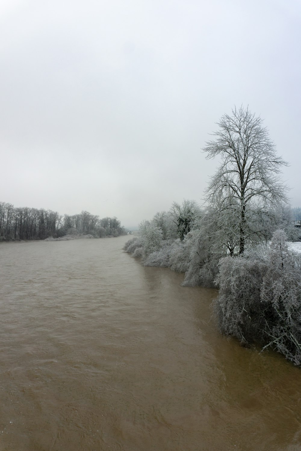 a body of water surrounded by trees covered in snow