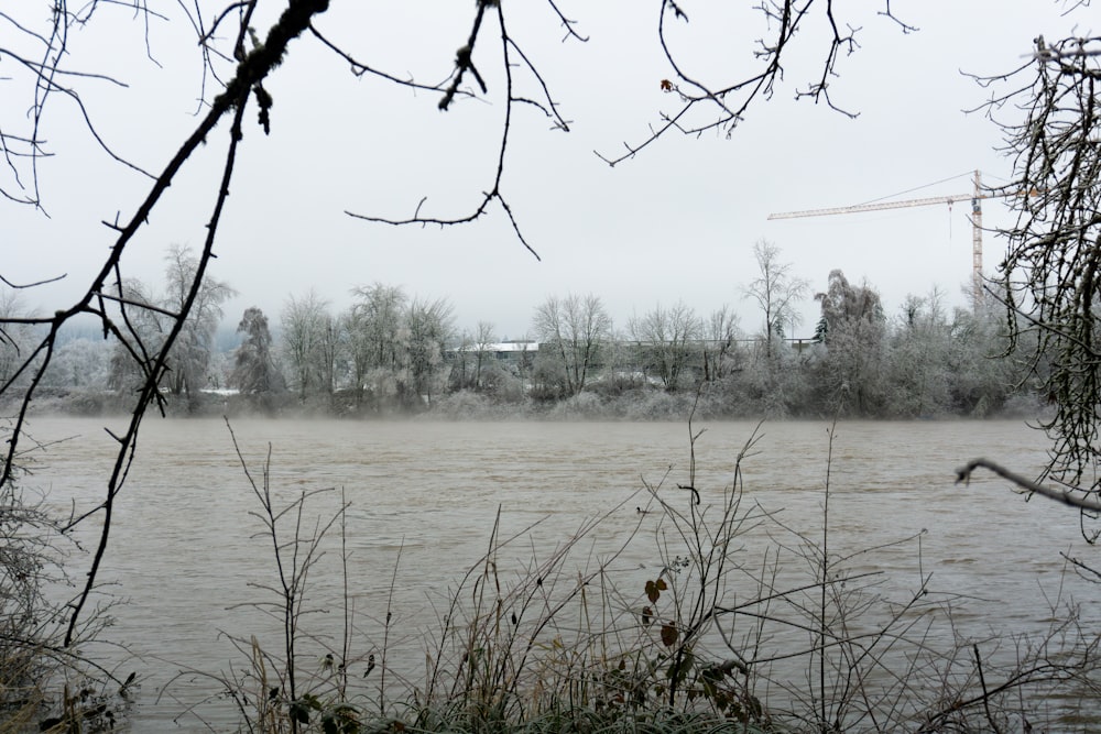 a body of water with a crane in the background